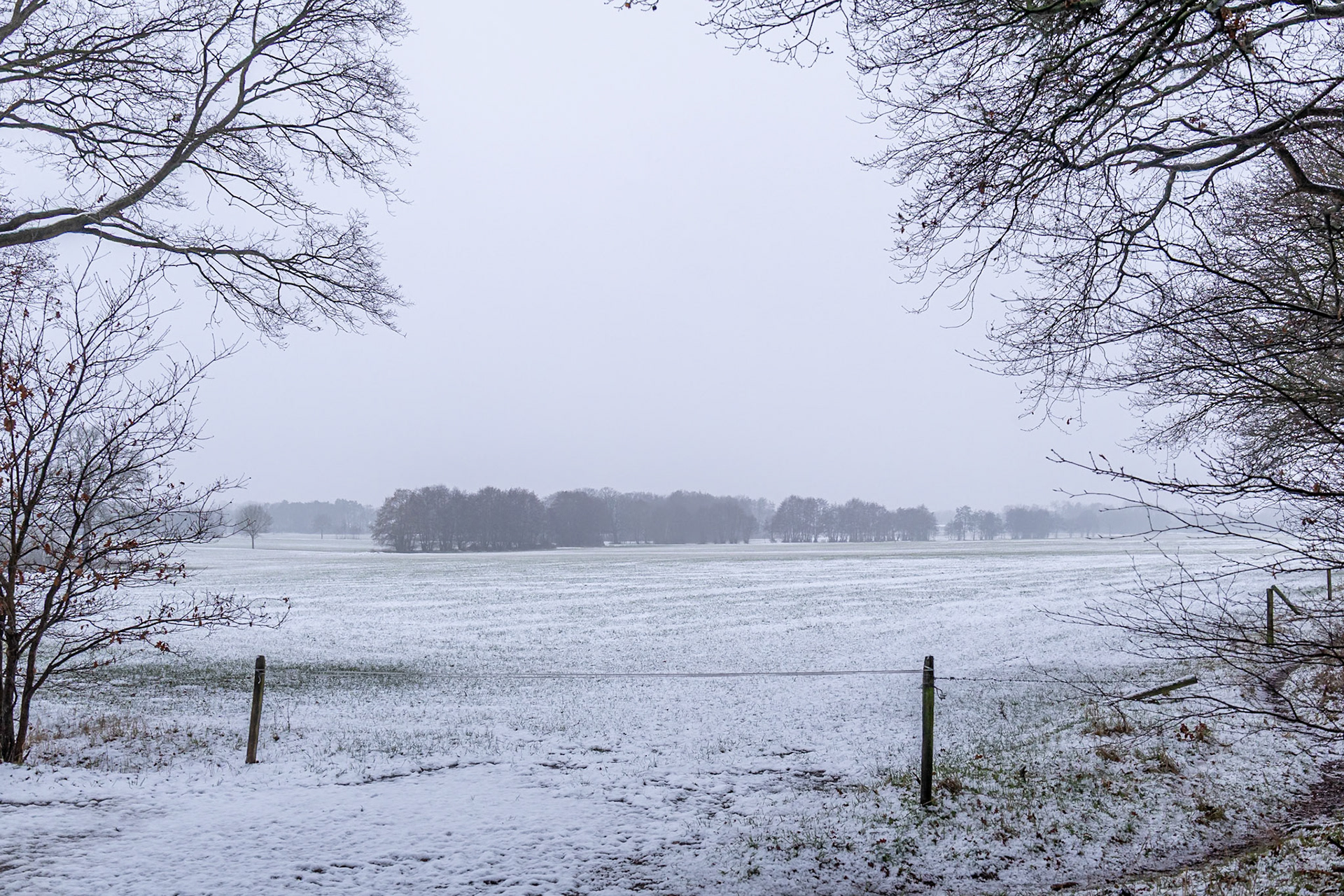 De Achterhoek (16 februari 2026)