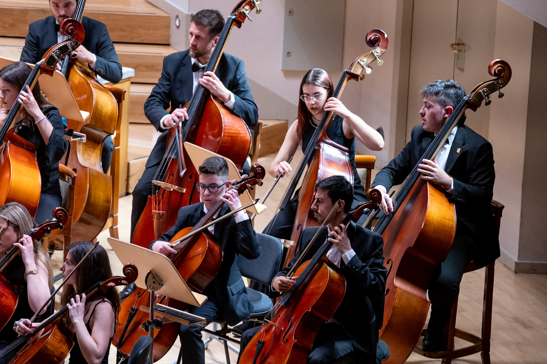 Concierto Orquesta Sinfonica de Valladolid