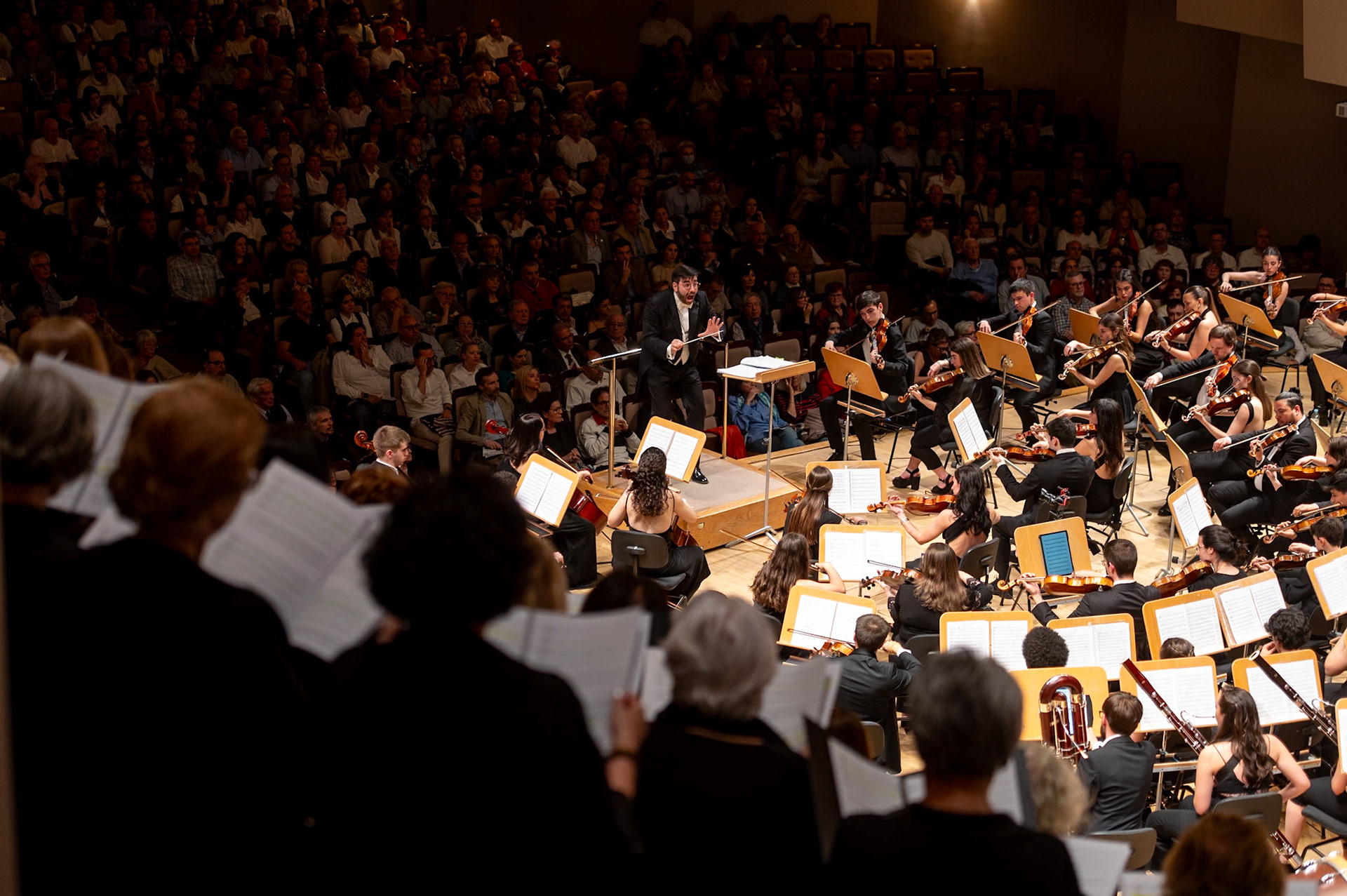 Concierto Orquesta Sinfonica de Valladolid