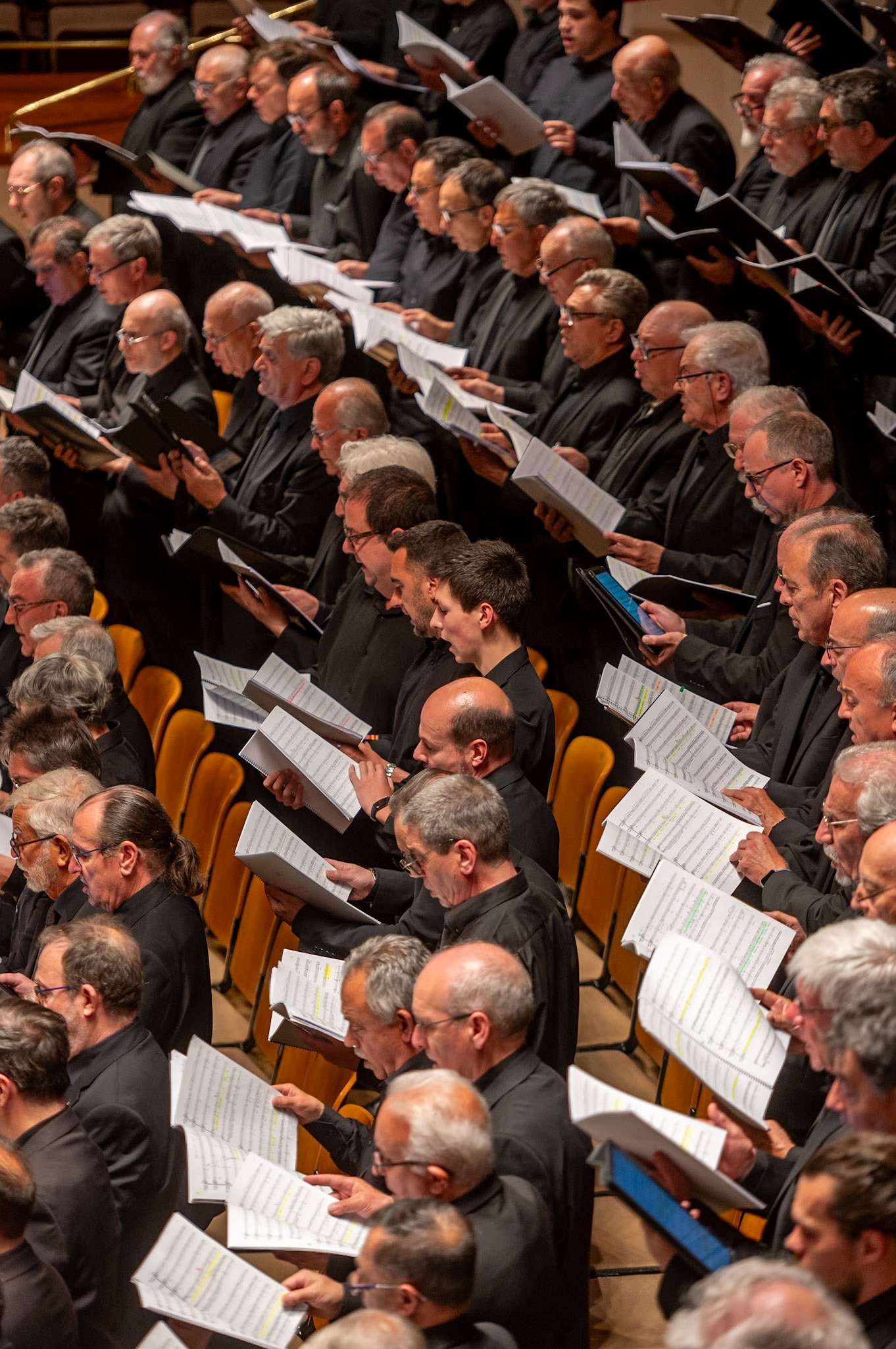 Concierto Orquesta Sinfonica de Valladolid