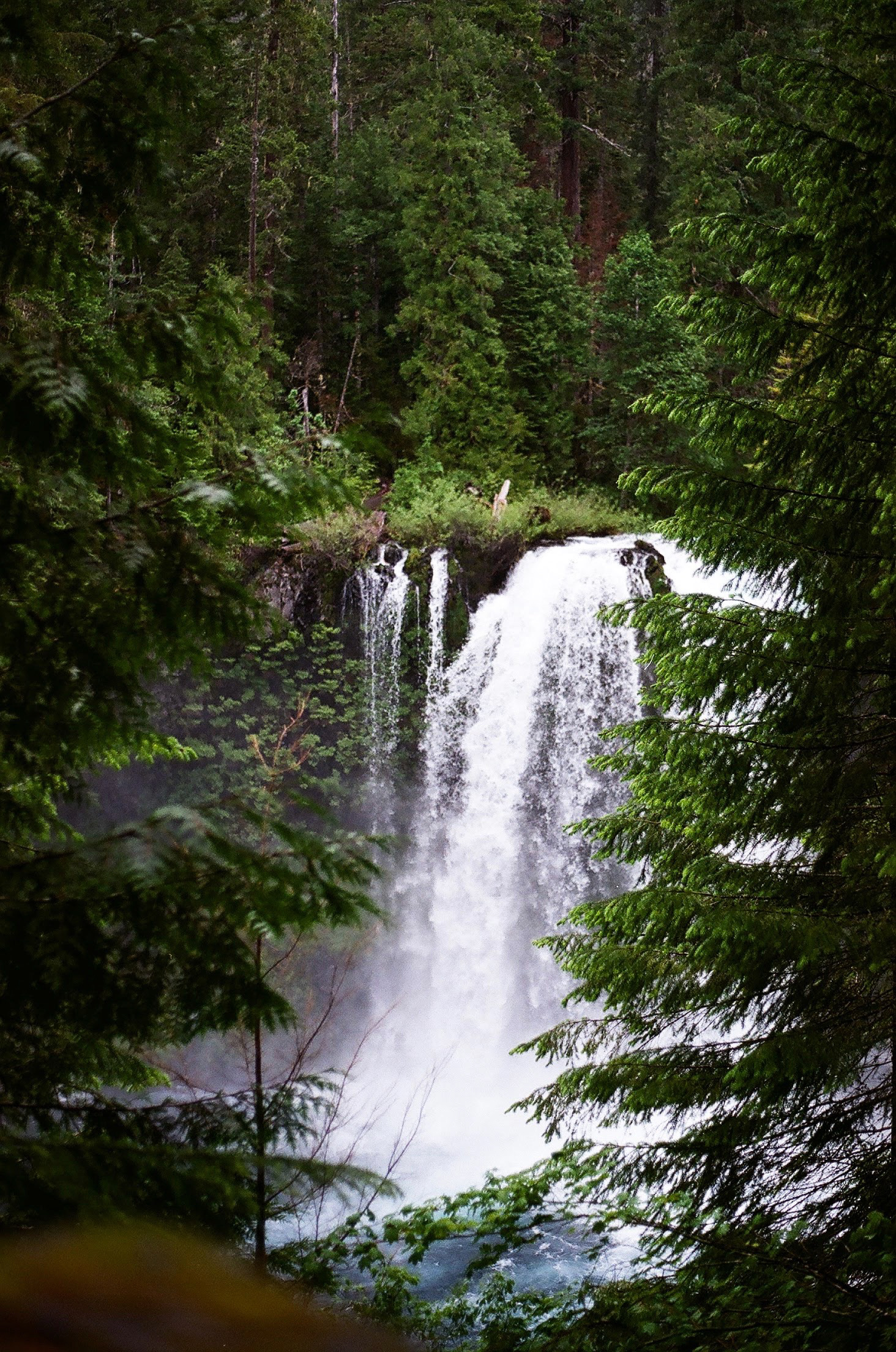 Oregon