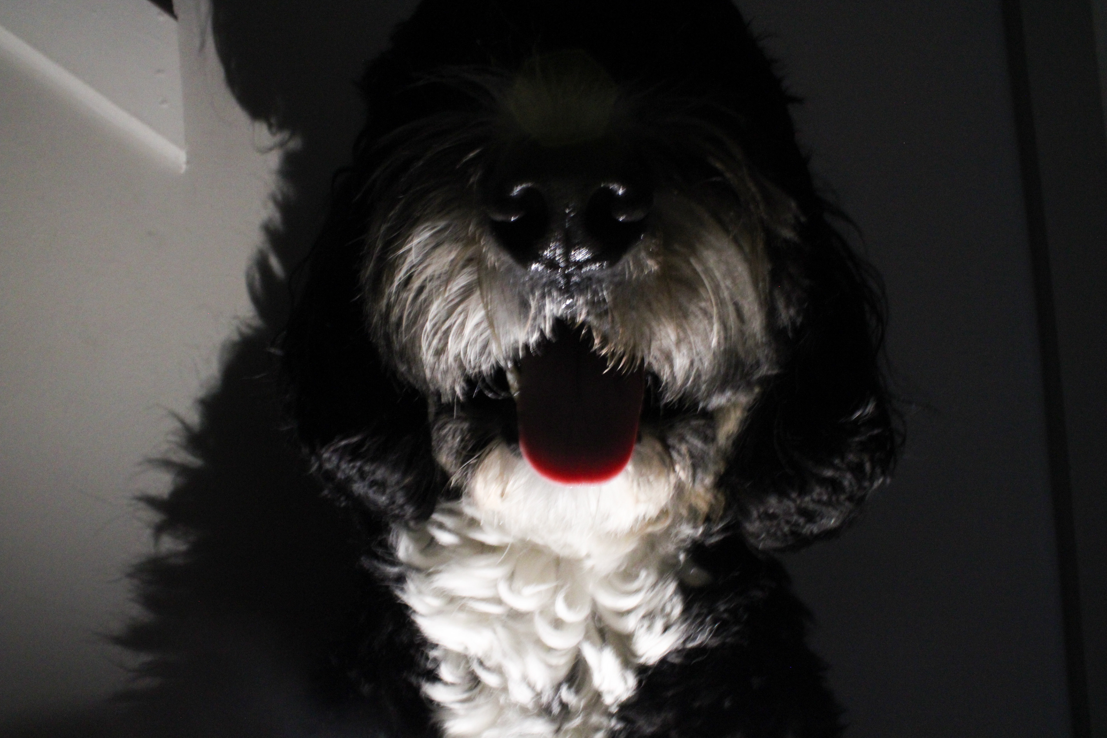 BOO!