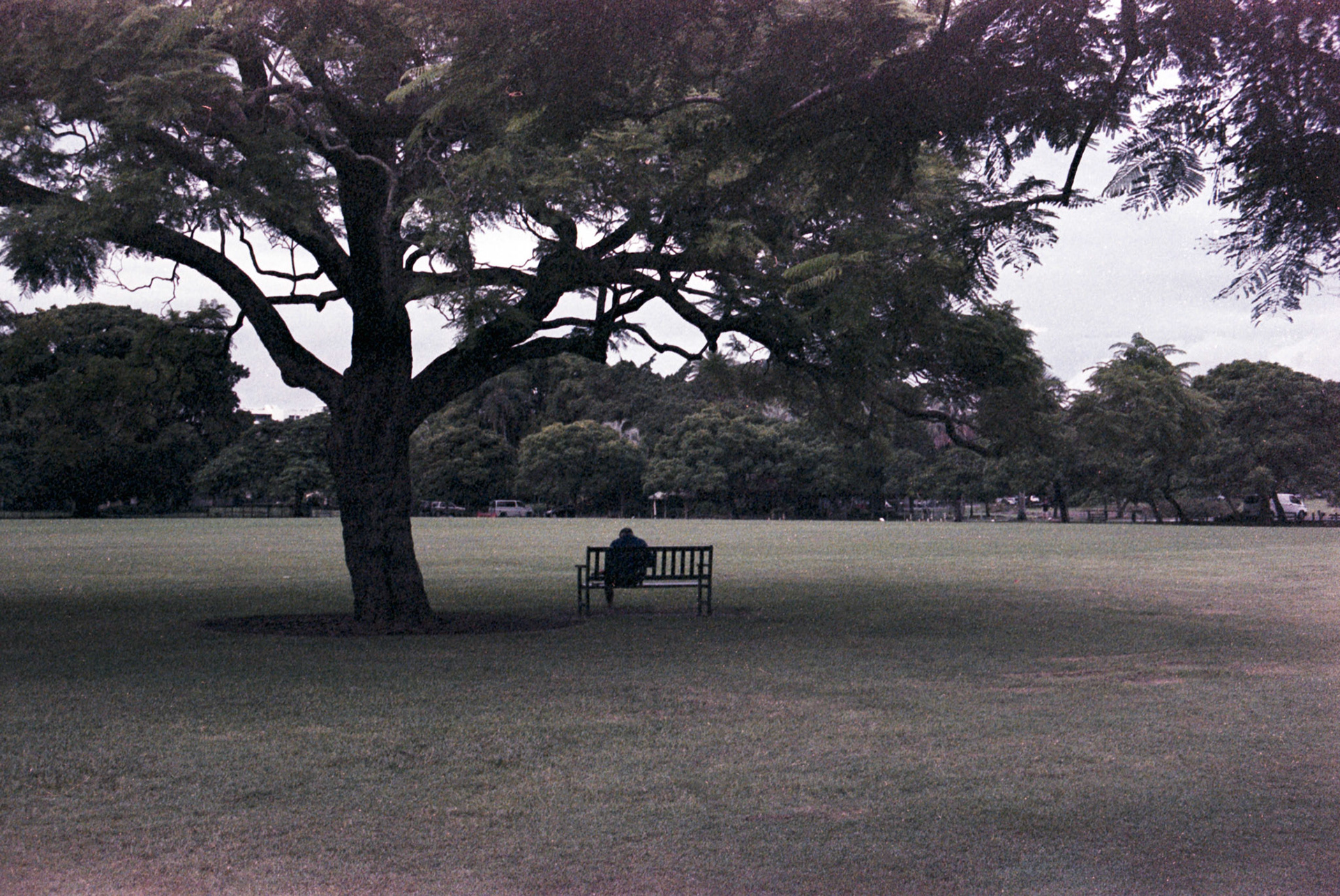 Fujifilm Superia 800