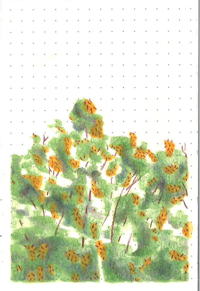 Tree Study | Mixed Media | 2021