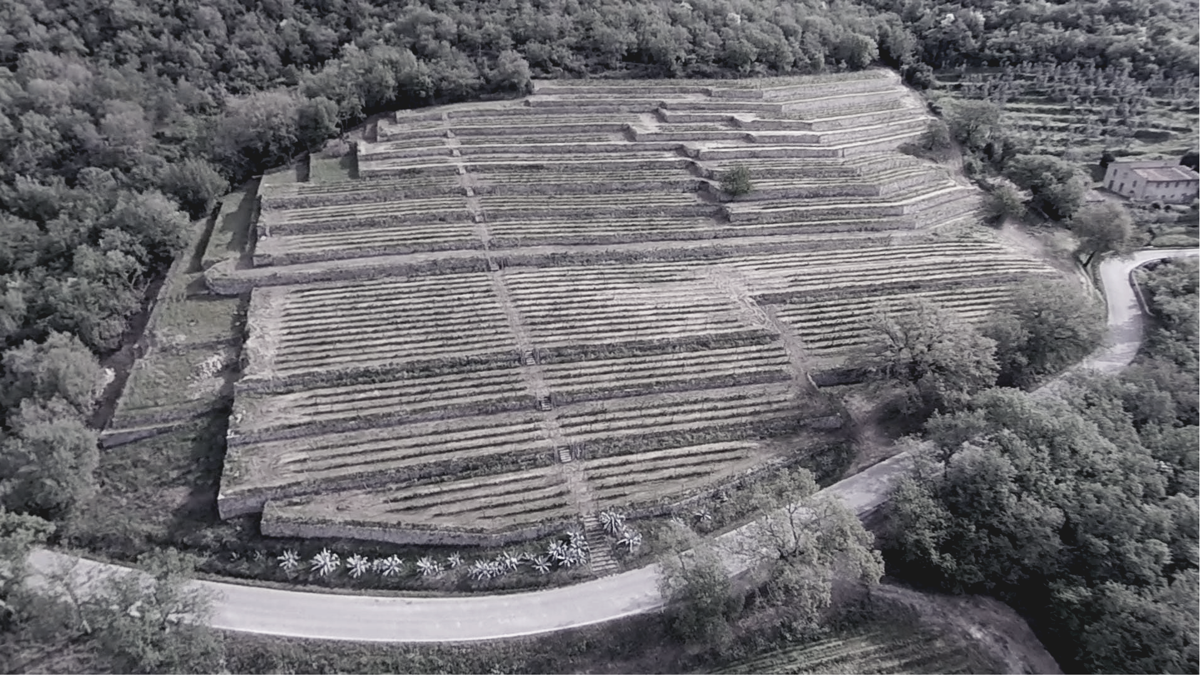 La Vigna delle sanzioni ripresa dall'alto. Si nota la grande scalinata in pietra che la attraversa. In bianco e nero