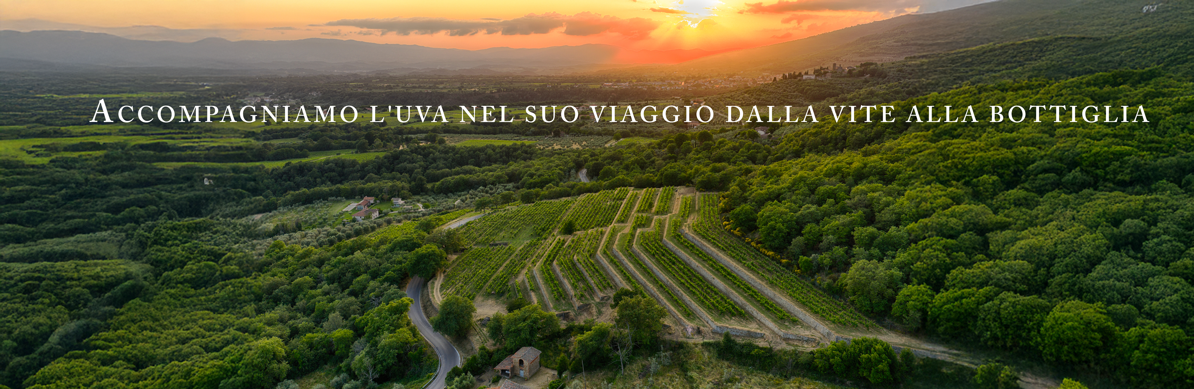 Vigna delle Sanzione vista dall'alto, adagiata ai piedi del Pratomagno. Si vede la Strada dei Setteponti