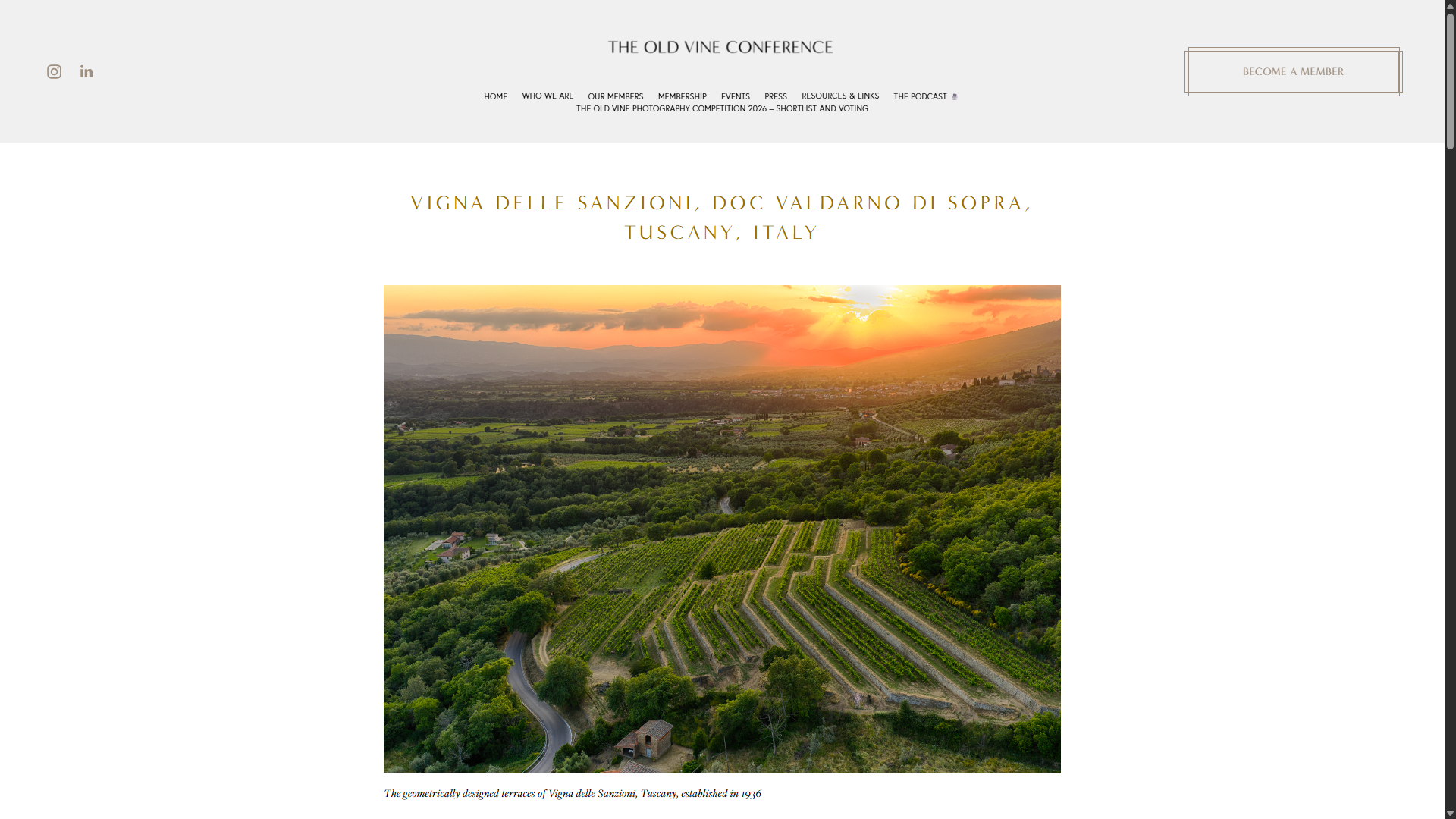Screenshot della pagina dedicata a Vigna delle Sanzioni sul sito The Old Vine Conference, con foto aerea dei terrazzamenti al tramonto.