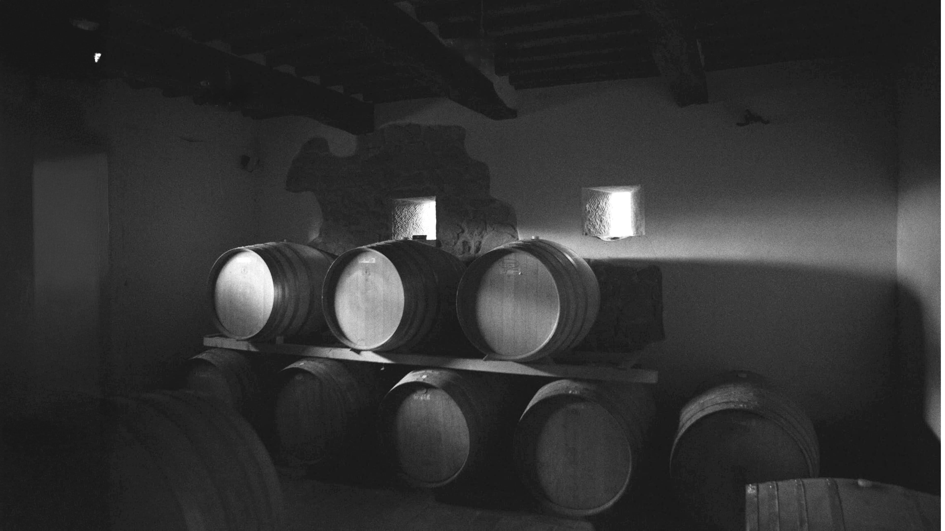 Cantina con botti. In bianco e nero