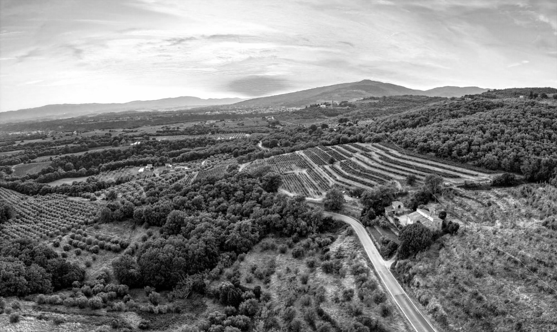 La Vigna delle Sanzioni vista di lato in una foto aerea. In bianco e nero
