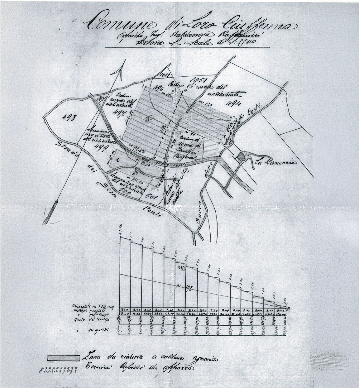 Progetto della Vigna delle Sanzioni