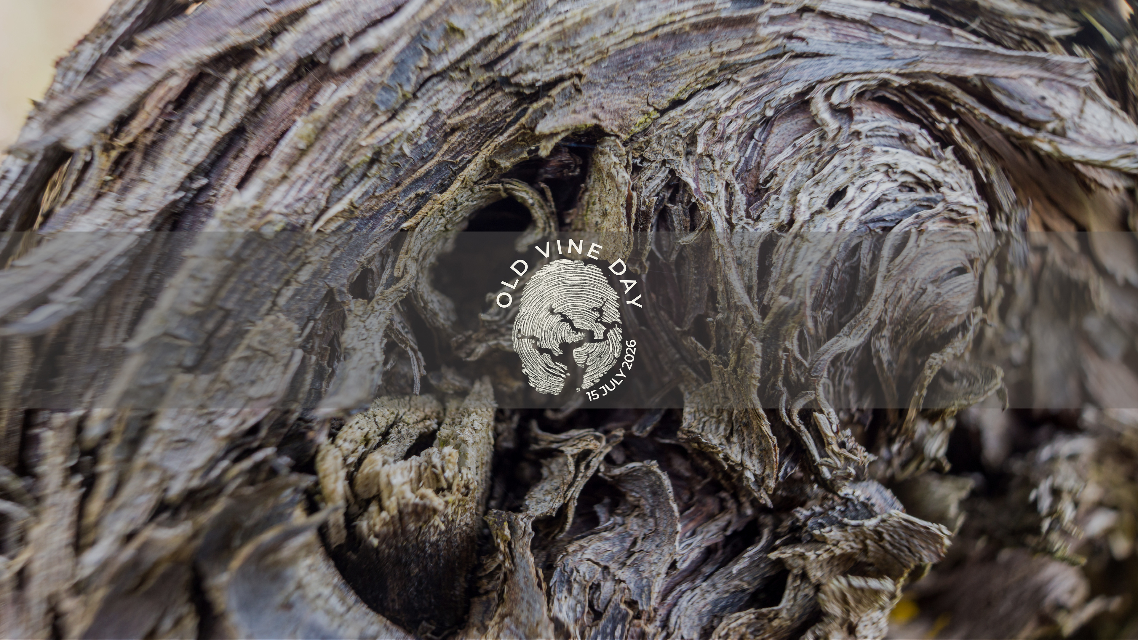 Tronco di vite con logo Old Vine Day