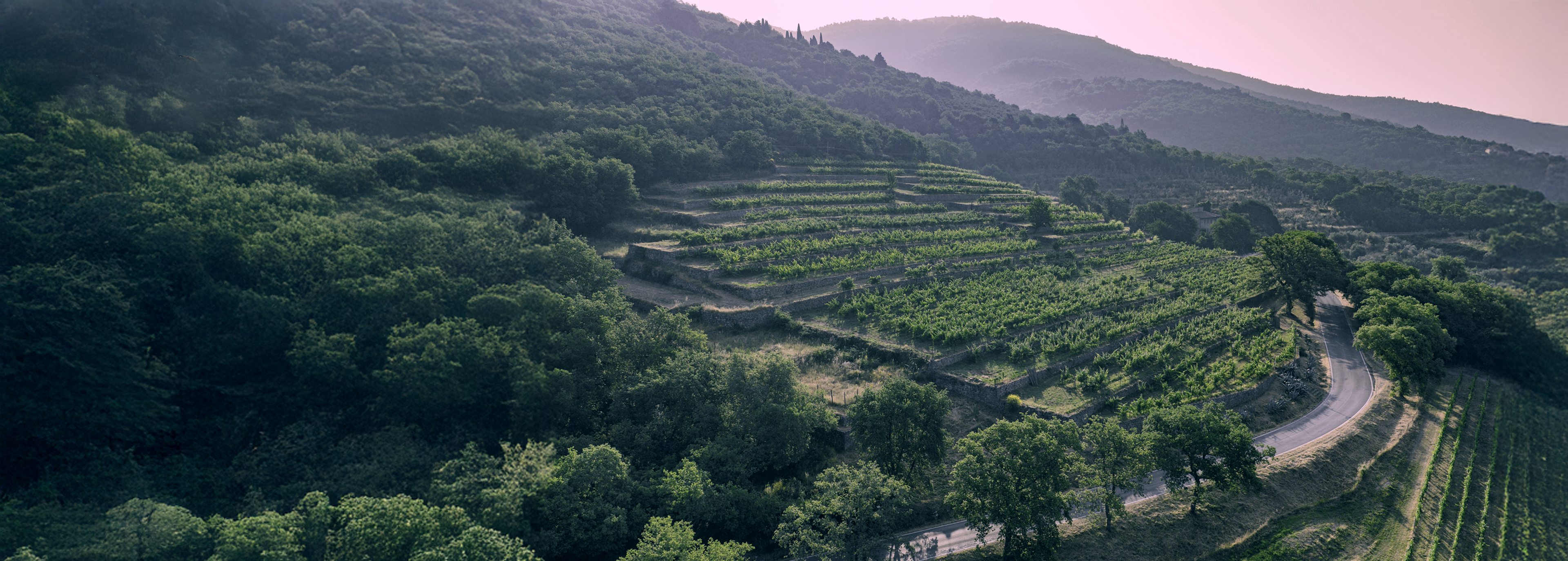 La Vigna delle Sanzioni vista di lato con lo splendido panorama intorno. Si vede la Strada dei Seytteponti