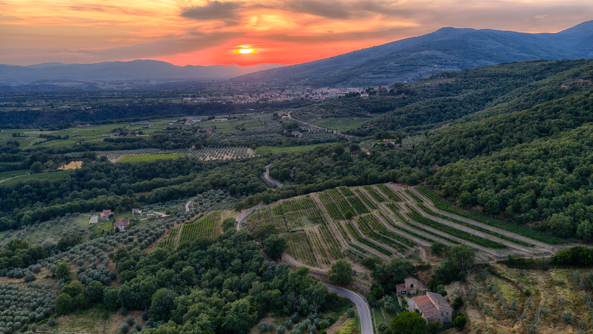 La Vigna delle Sanzioni vista di lato in una ftoto aerea