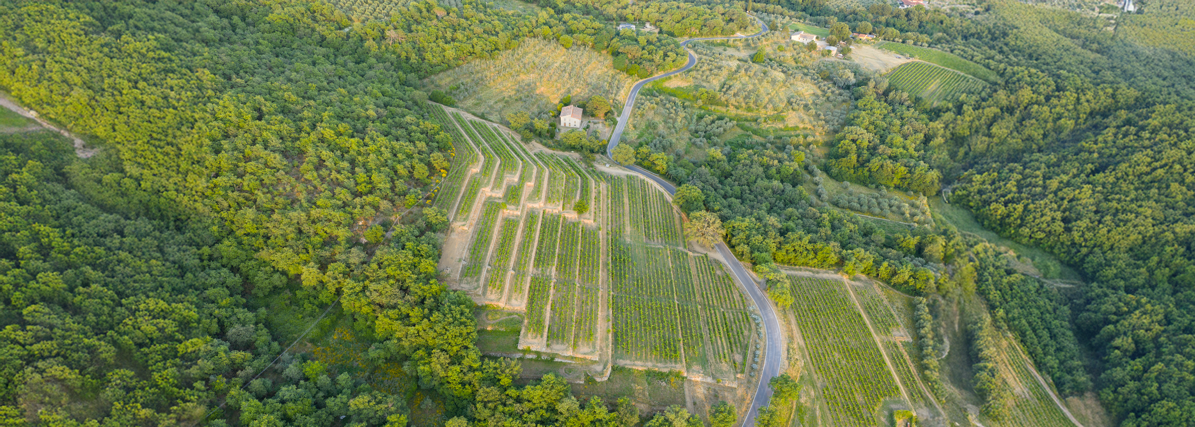 Vigna delle Sanzioni dall'alto