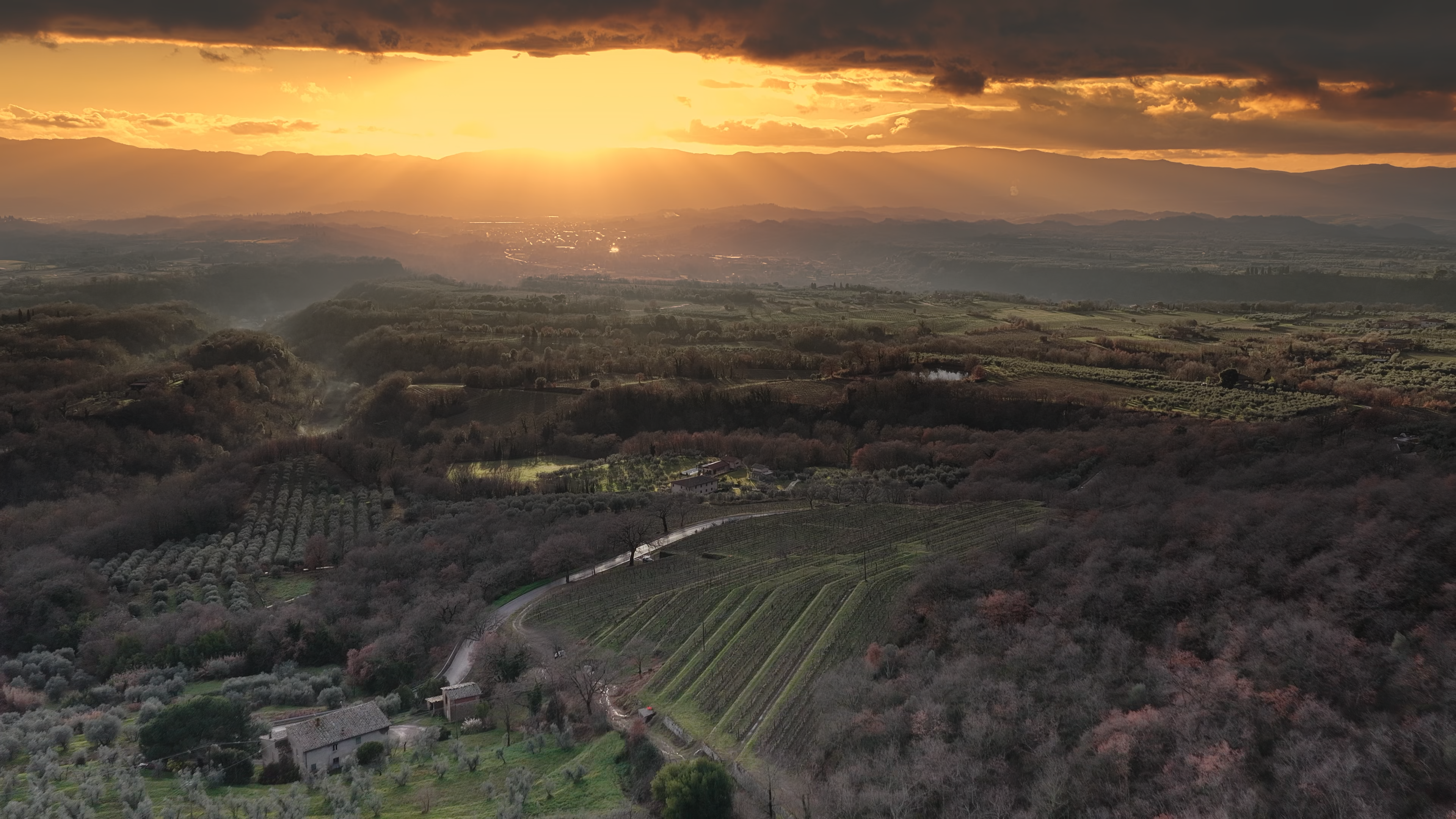 Veduta aerea della Vigna delle Sanzioni al tramonto