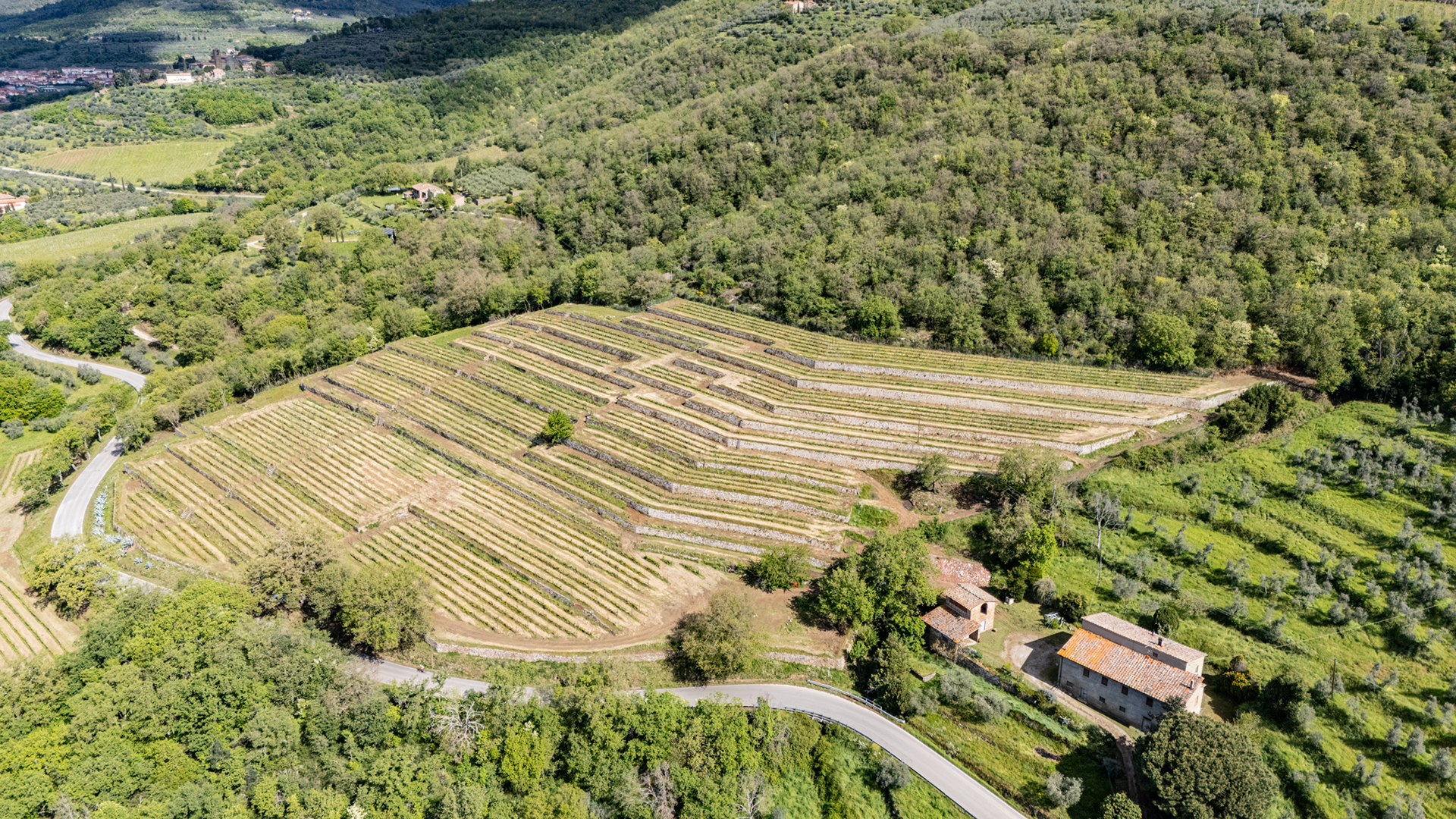 Vigna delle Sanzioni presa di lato in una foto aerea