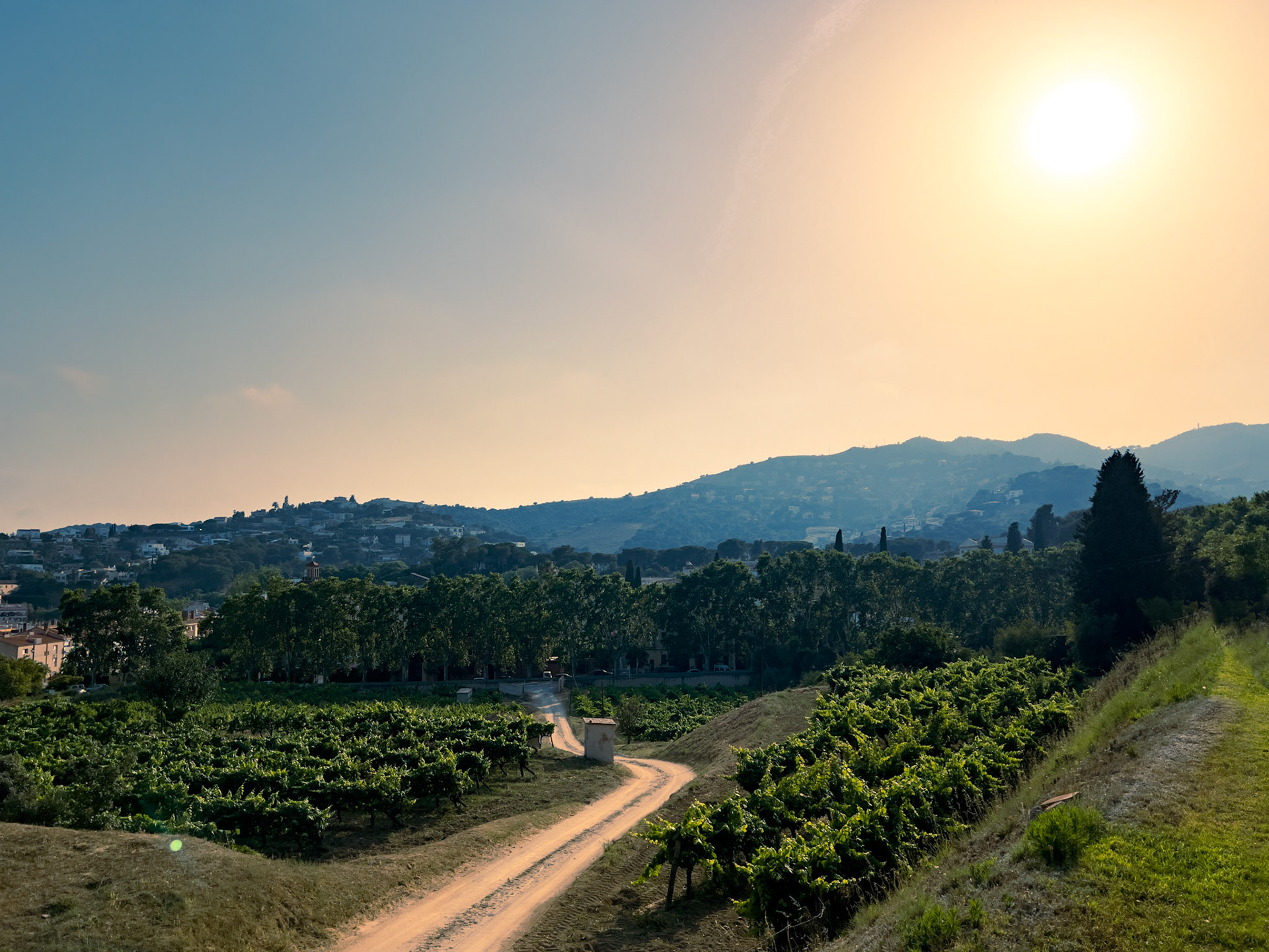 Sunset view from Bouquet d'Alella