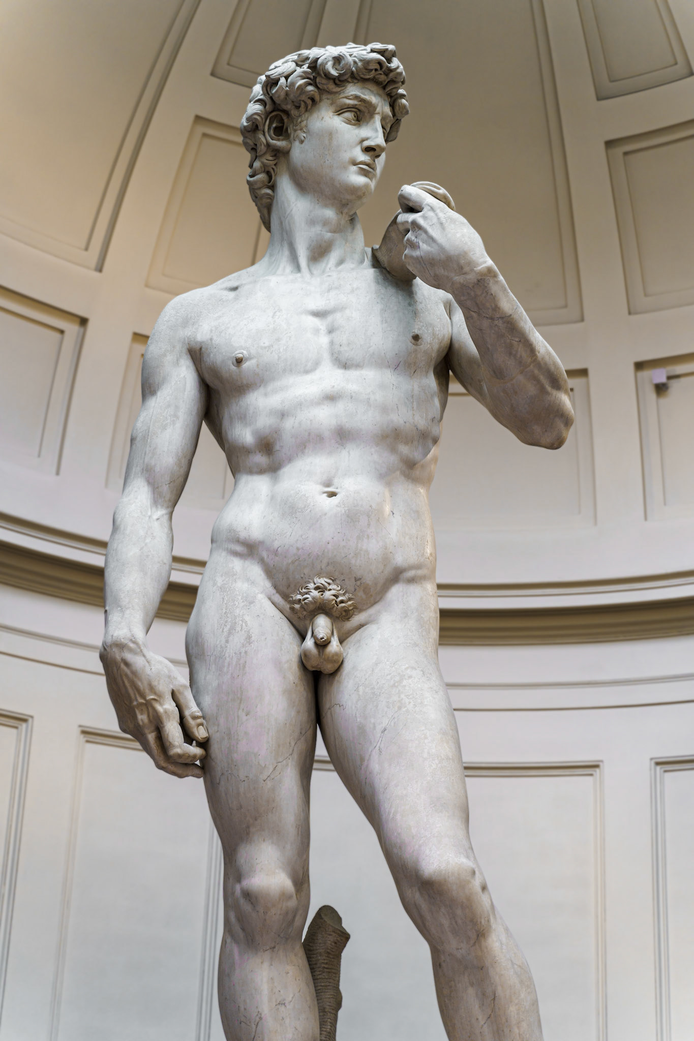 The Statue of David by Michelangelo at Galleria dell'Accademia