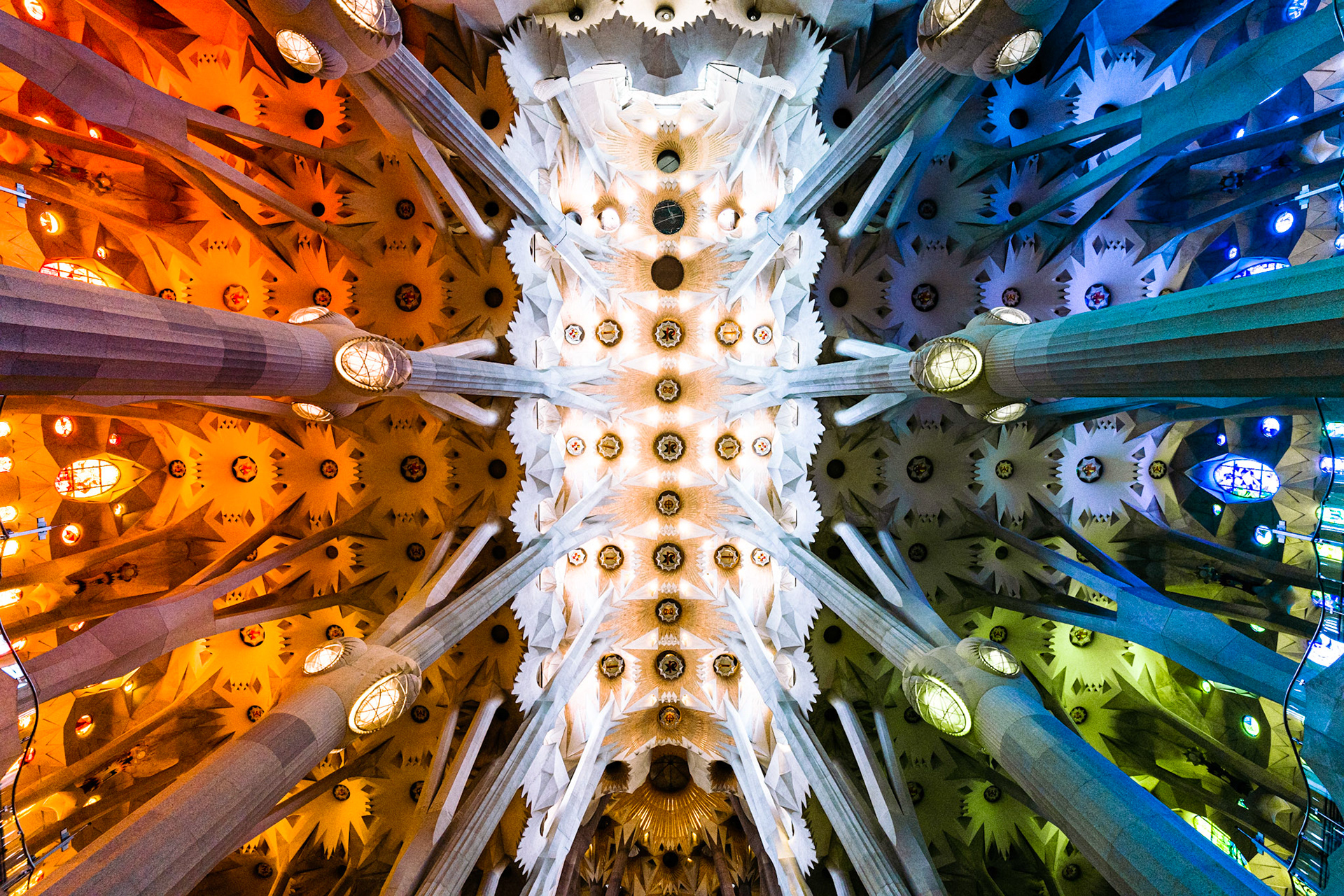 The ceiling of La Sagrada Família