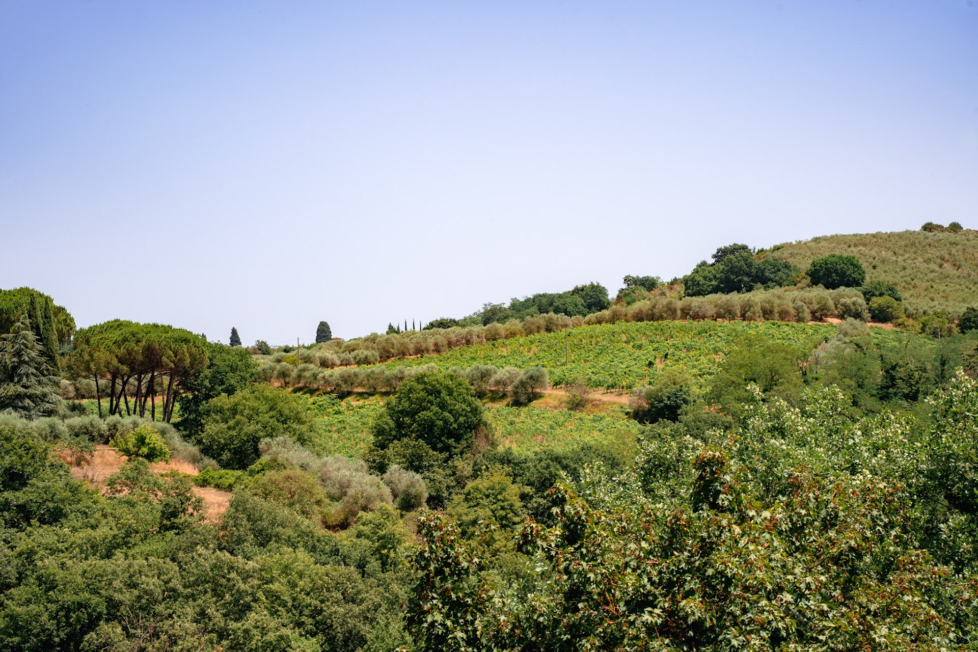 The view from Luca &amp; Lorenzo's house