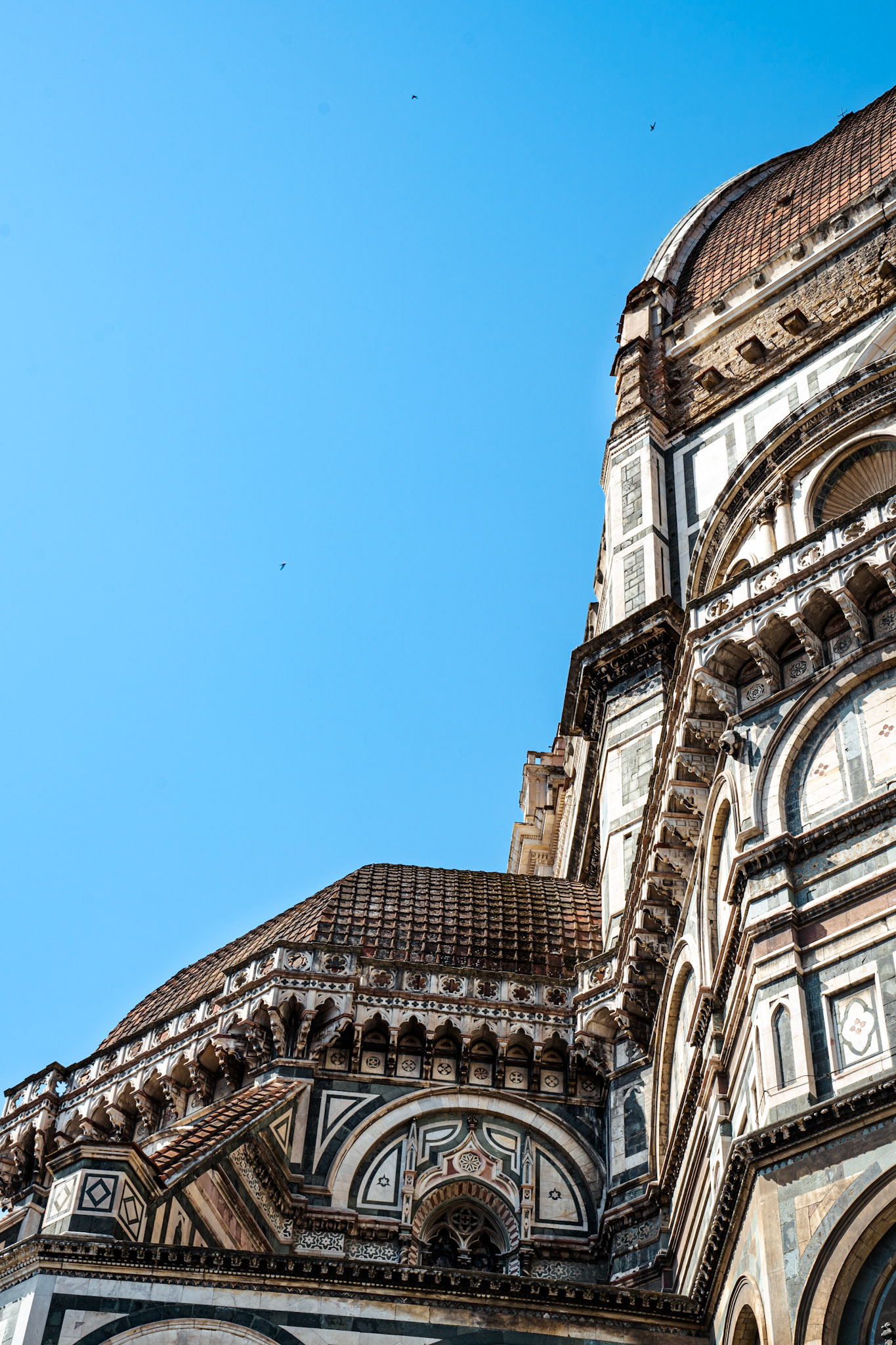 The Cupola di Brunelleschi of the Duomo