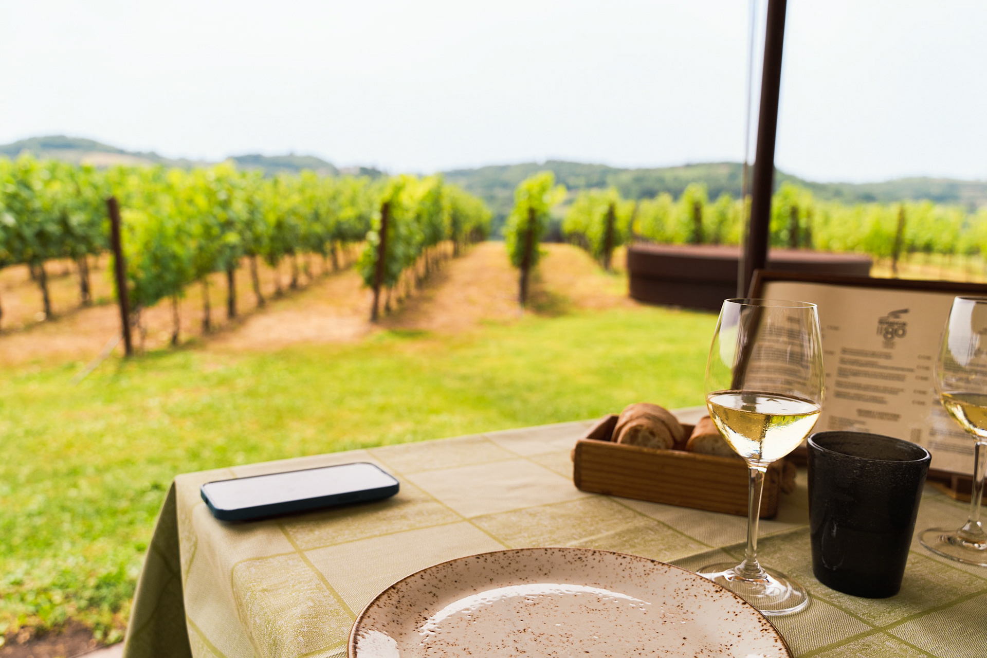 Anteprimas at the Antinori nel Chianti Classico vineyard