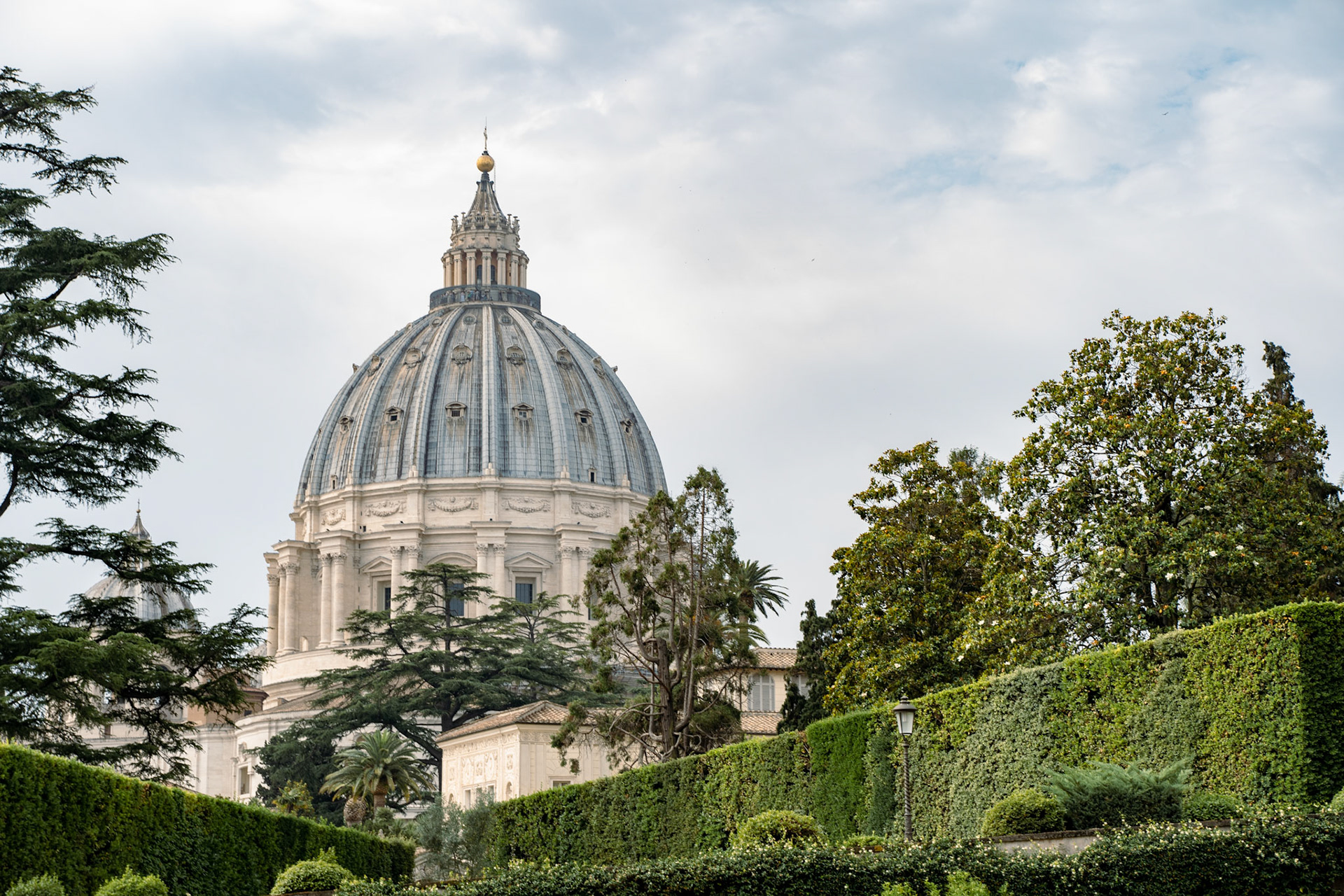 View of St. Peter’s Basilica