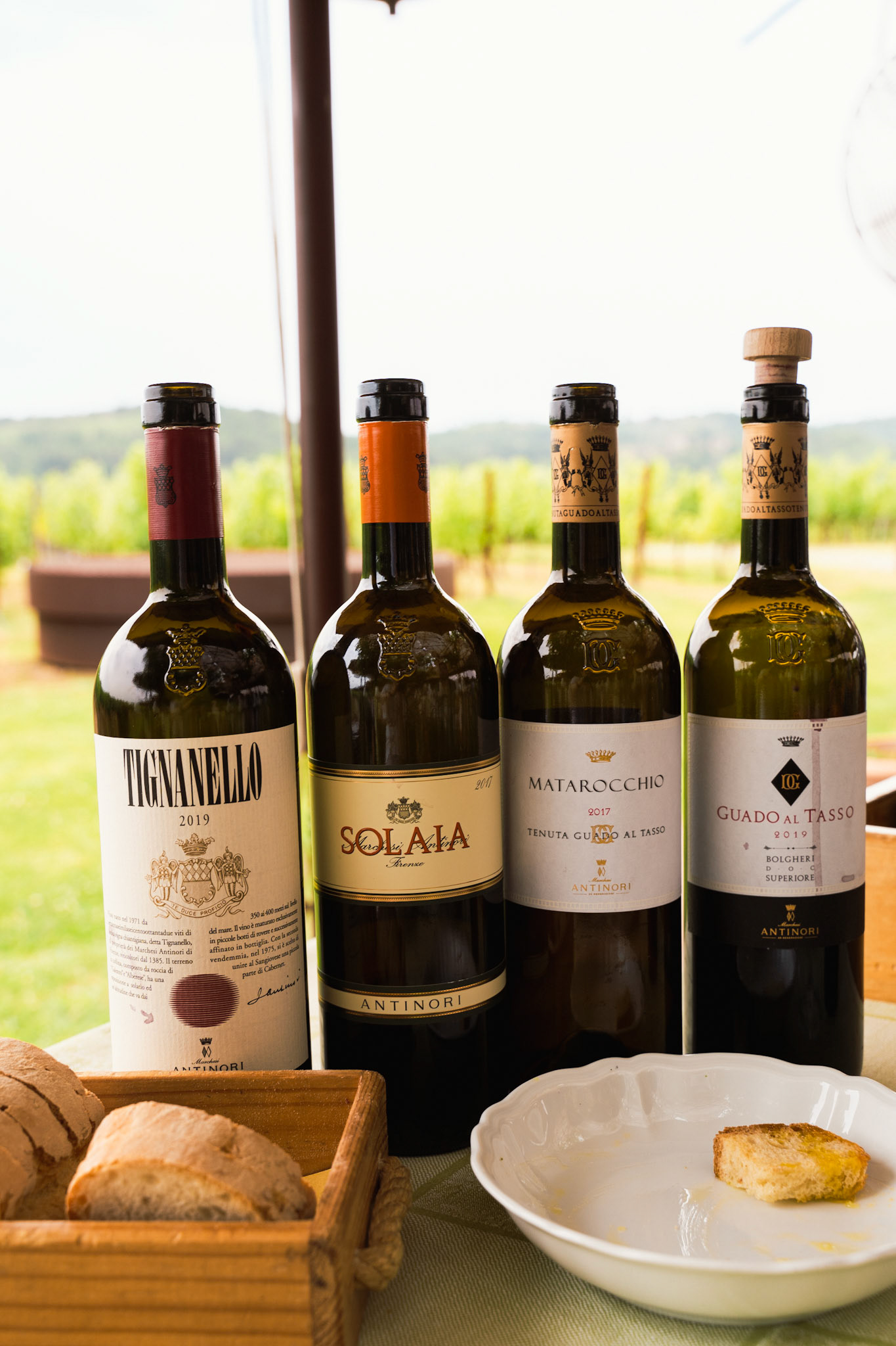 Anteprimas at the Antinori nel Chianti Classico vineyard