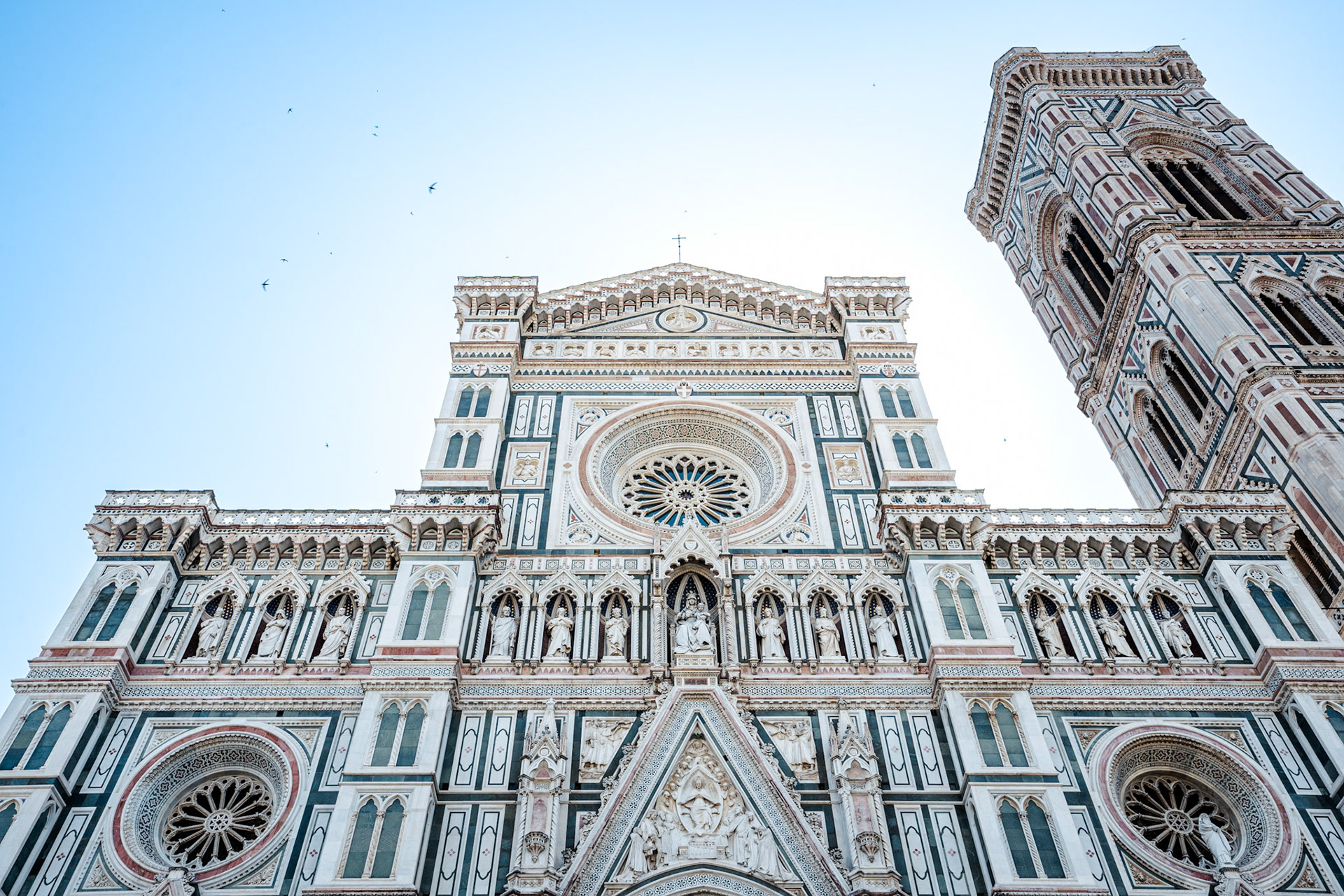 The Cathedral of Florence, the Duomo