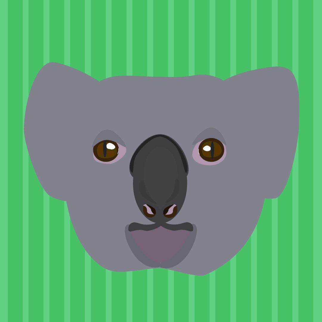 Koala Without Fur