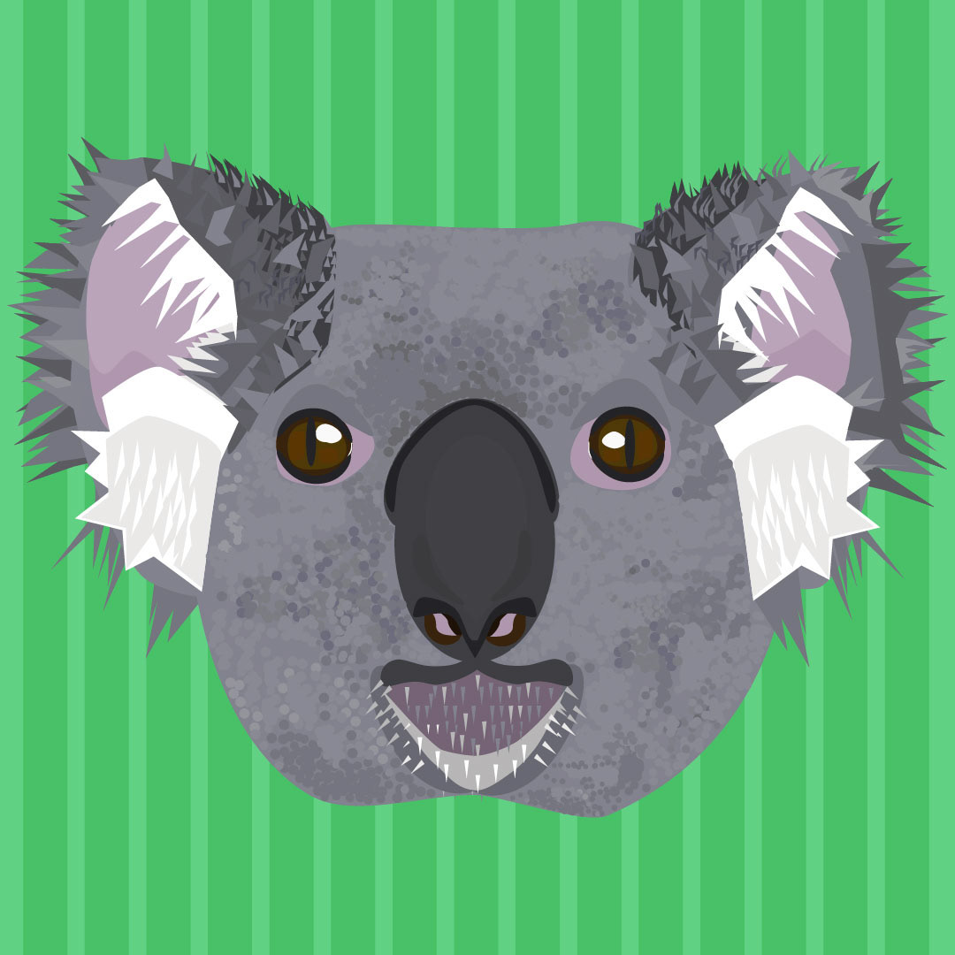 Finished Koala With Fur