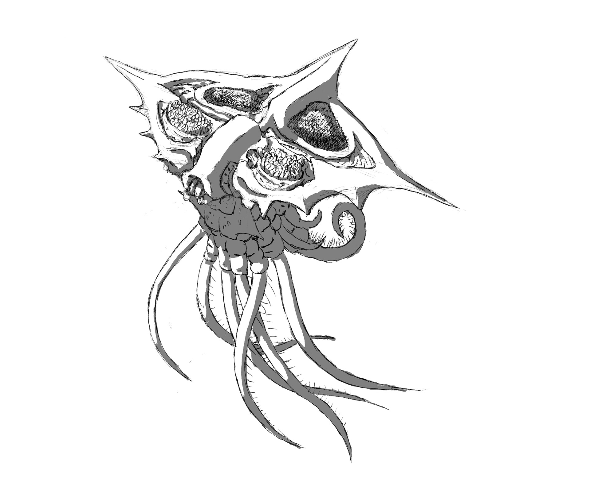 Character design for the HOSN Representative
