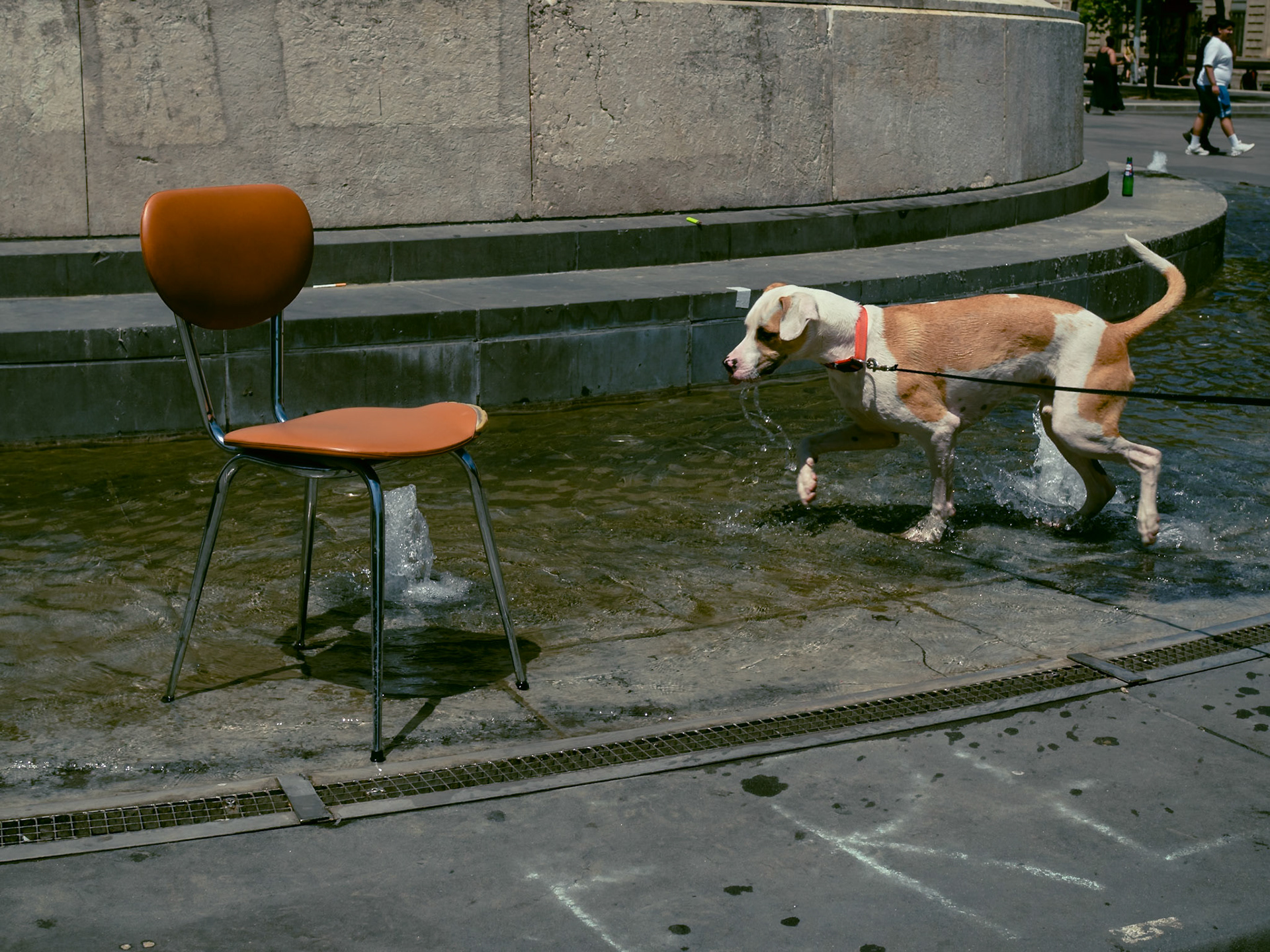 OLYMPUS DIGITAL CAMERA