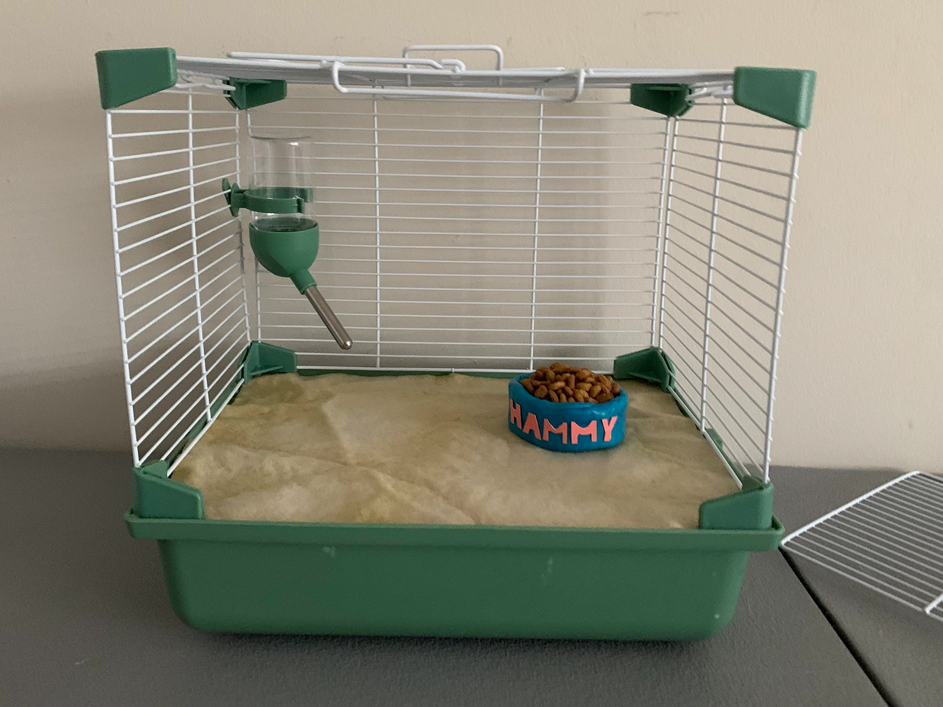 Hamster cage set