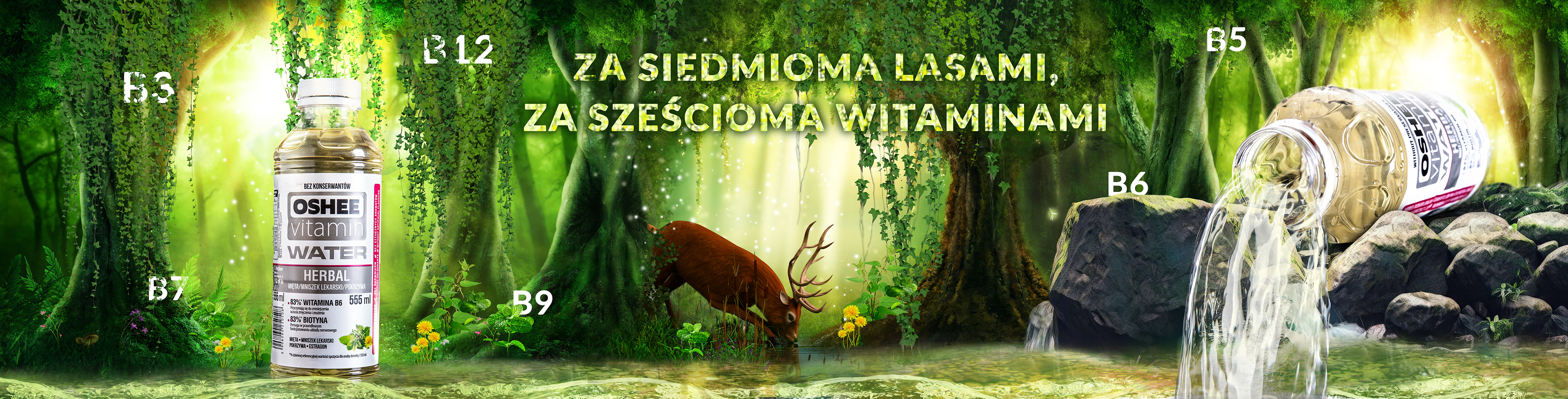 Reklama 360 na facebooka dla OSHEE
