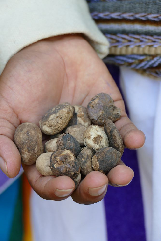 Cuña - Peruvian potato desiccate
