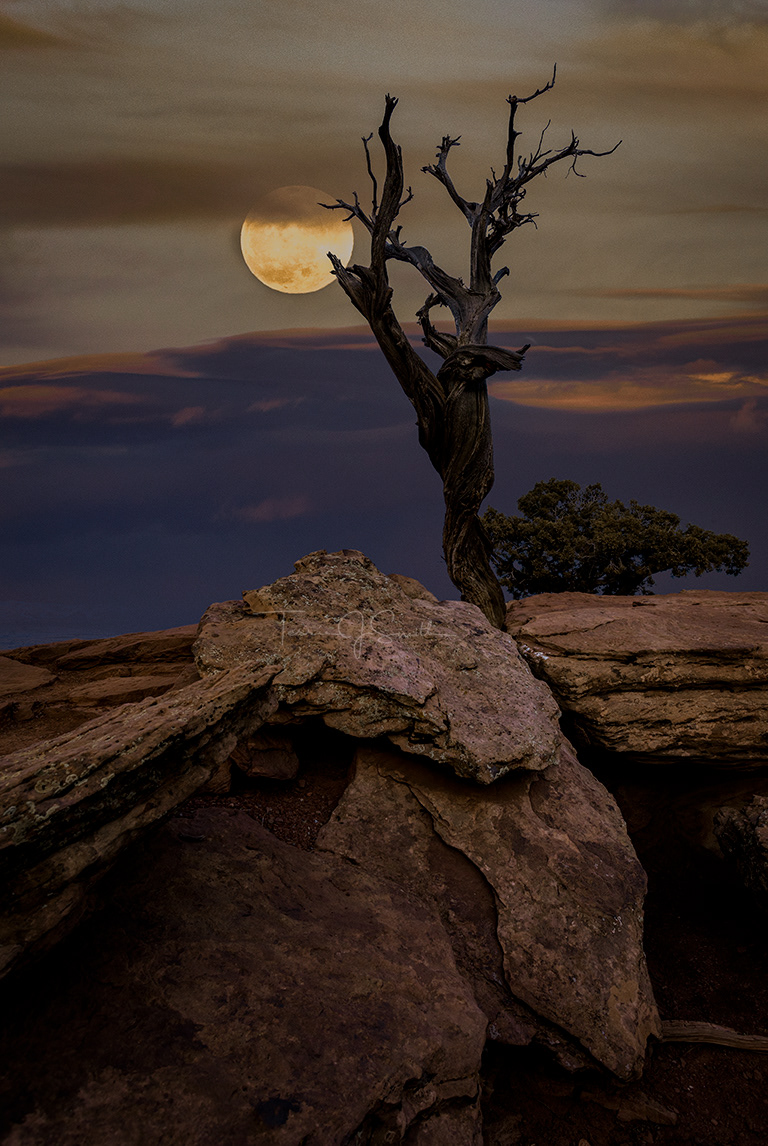 Full Moon from Colorado National Monument