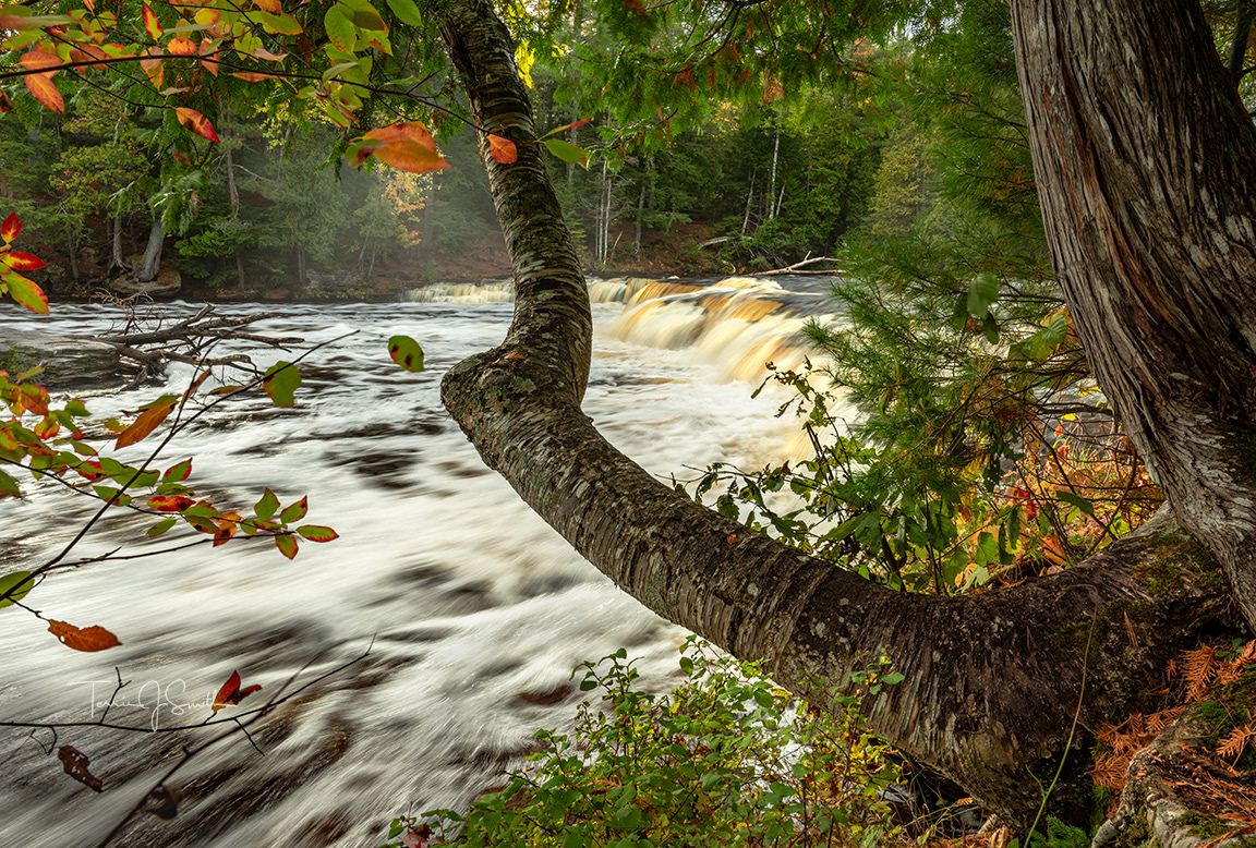 Michigan - Lower Tahquamenon Falls