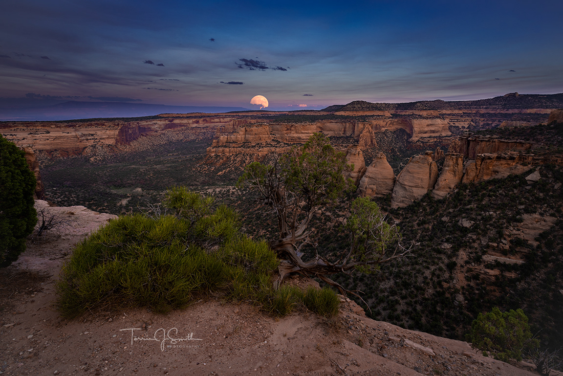 Full Moon Over Colorado National Monument