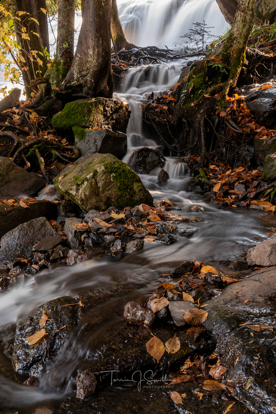 Michigan - Bond Falls Offshoot