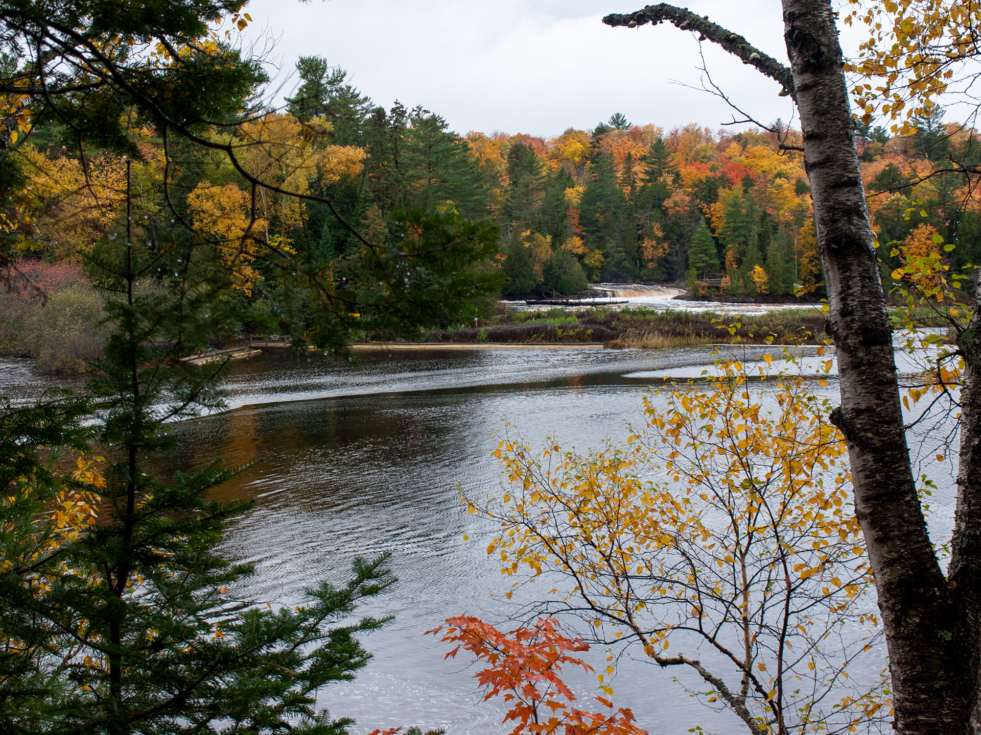 Michigan - Lower Tahquamenon Falls