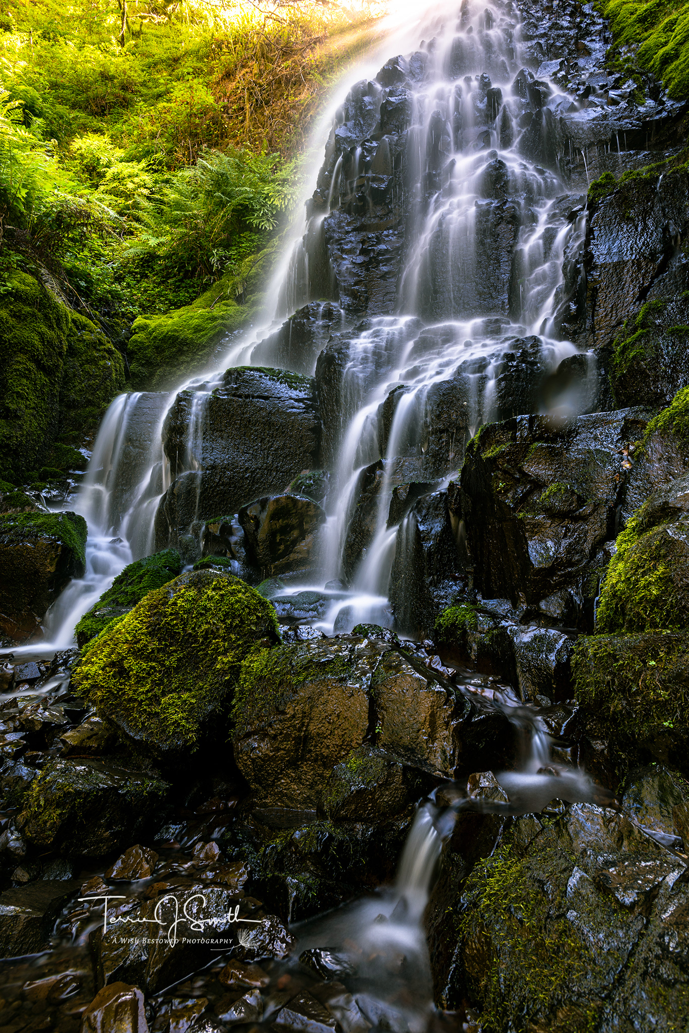 Oregon - Fairy Falls