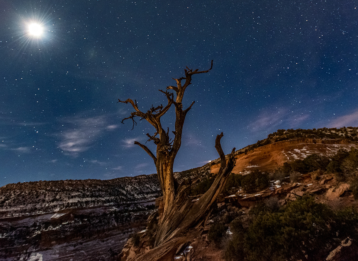 A Well-Lit Cold Night