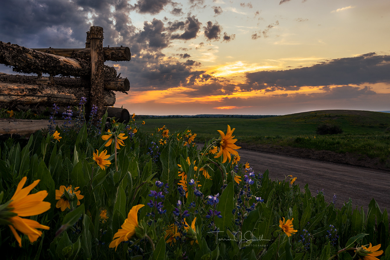 Sunset on Last Dollar Road - July 2021