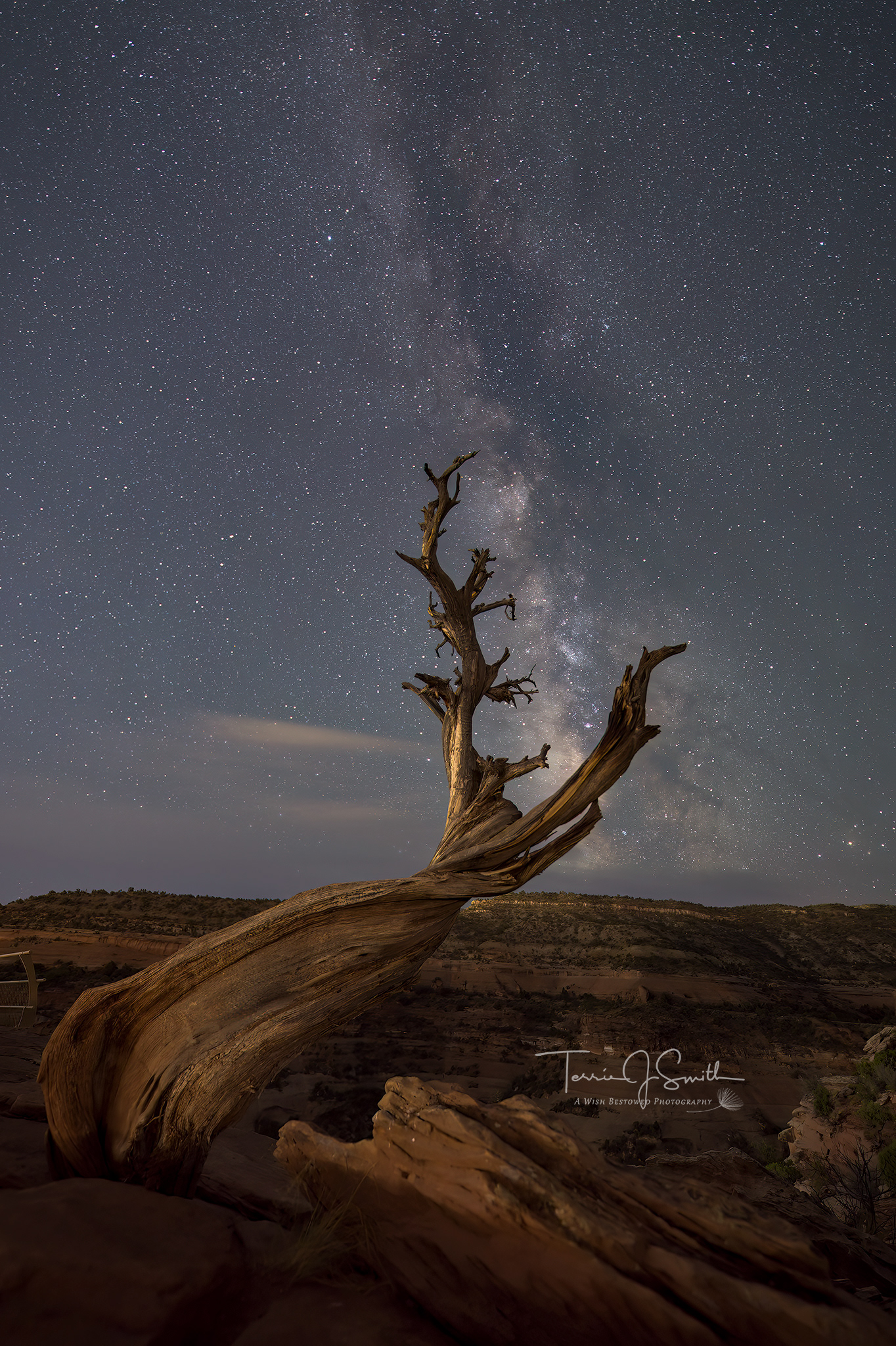 Zelda Showing Off Milky Way
