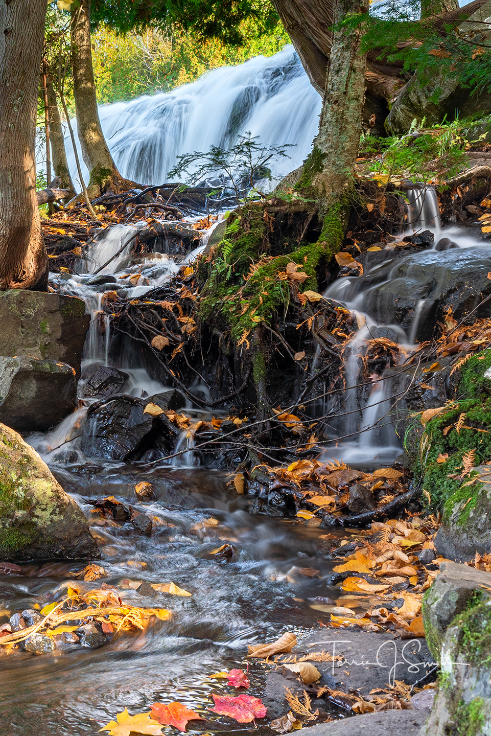 Michigan - Upper Bond Falls 
