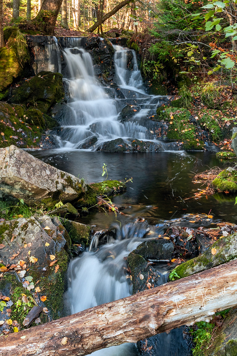 Michigan - Ogemaw Falls
