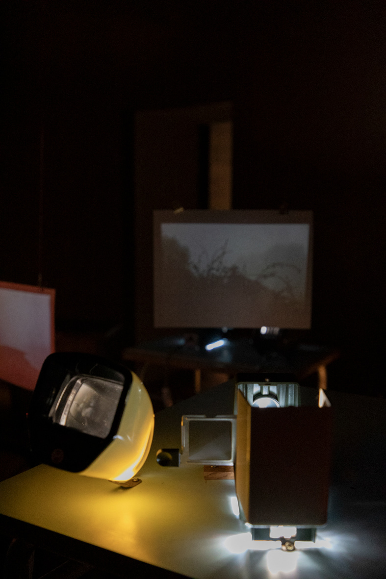 Diapositives montées sur visionneuses et projecteur