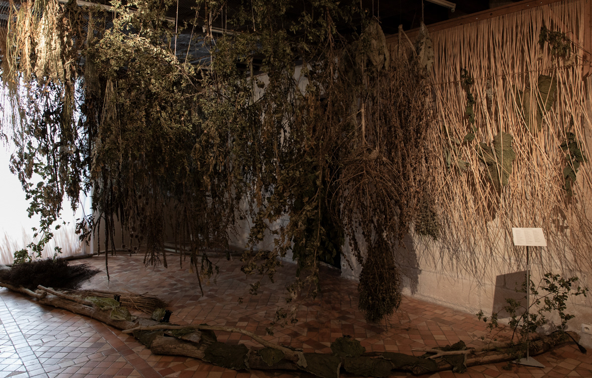 Herbier de circonstance - Hommage à Marinette Cueco / plantes ligériennes glanées et montées sur structures osier et grille