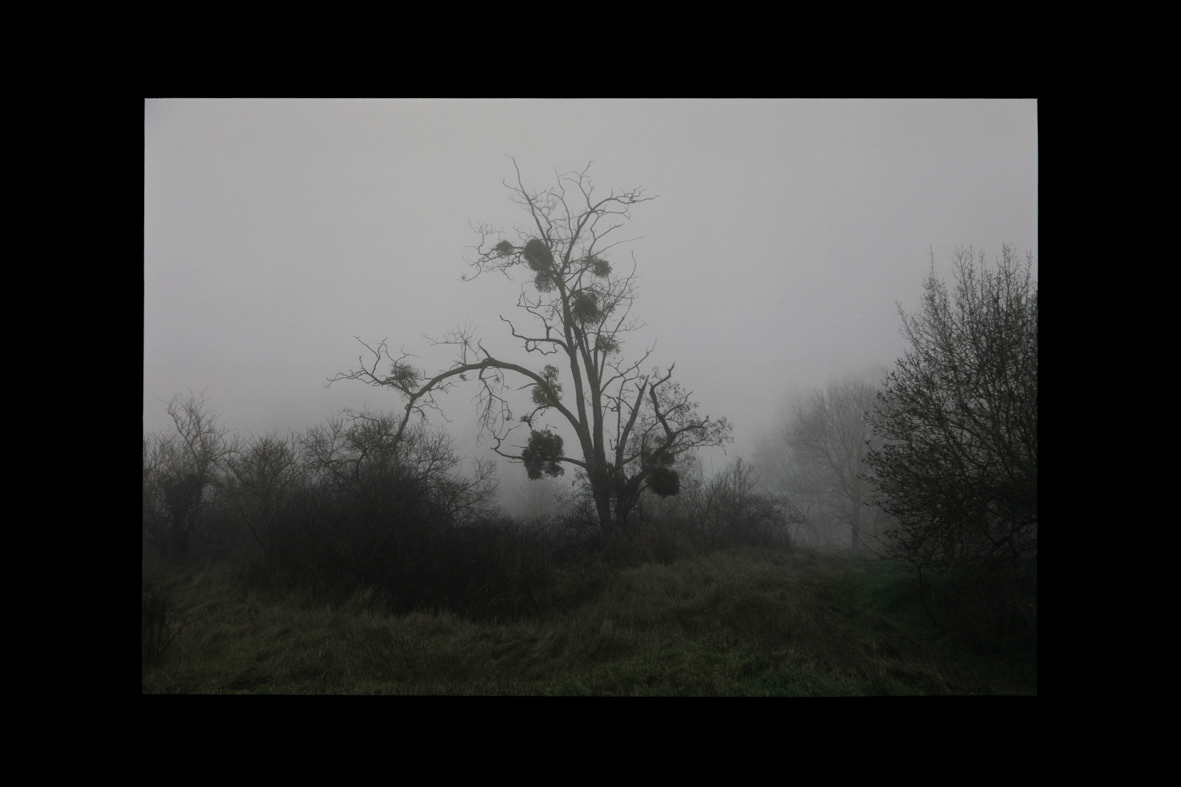 Impression sur film rétro-éclairée - série nebula liger